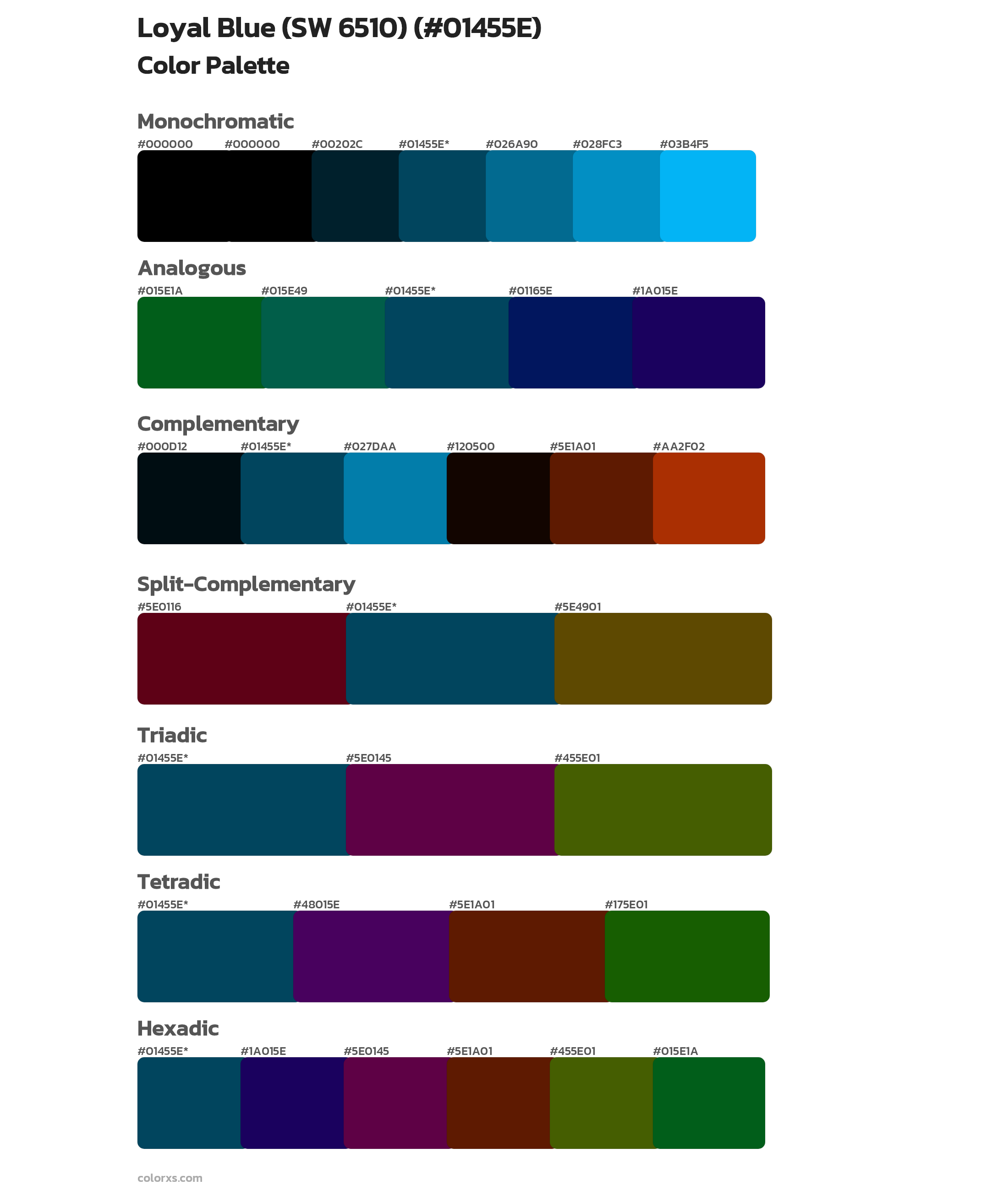 Loyal Blue (SW 6510) Color Scheme Palettes
