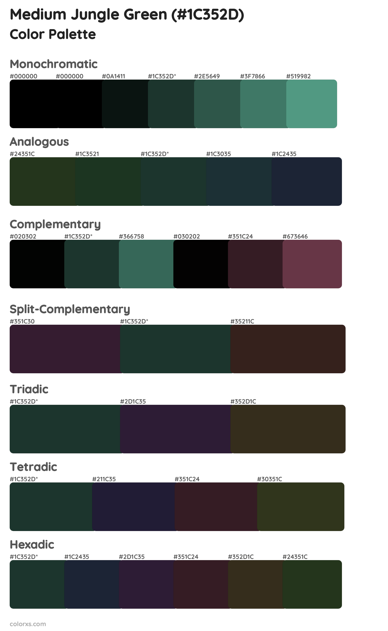 Medium Jungle Green Color Scheme Palettes