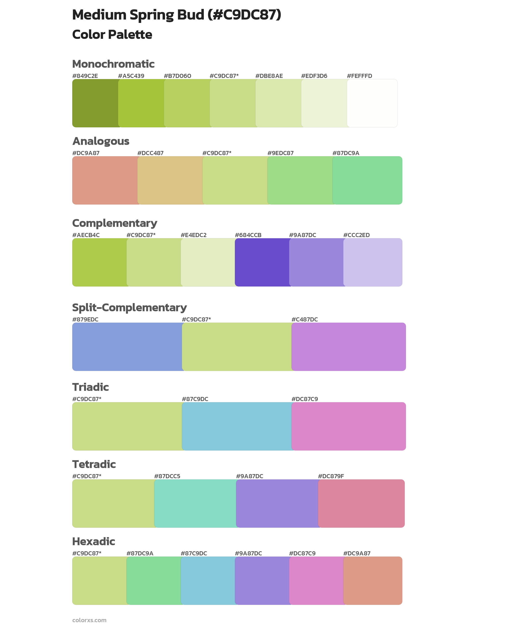 Medium Spring Bud Color Scheme Palettes