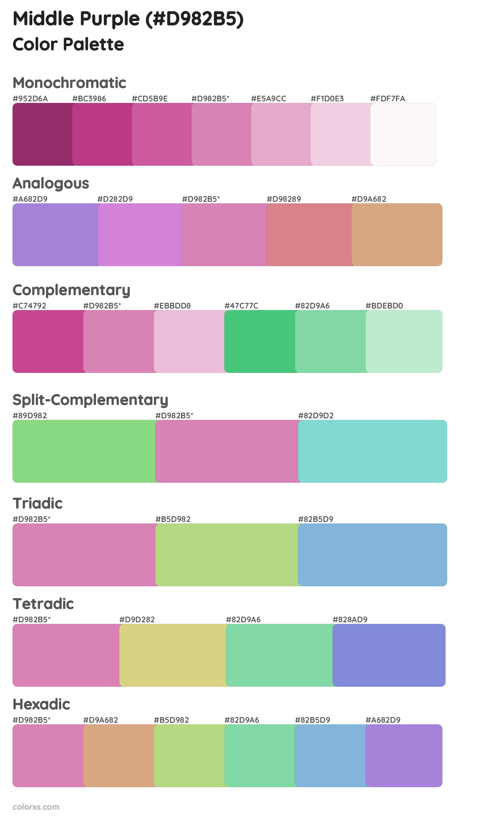 Middle Purple Color Scheme Palettes
