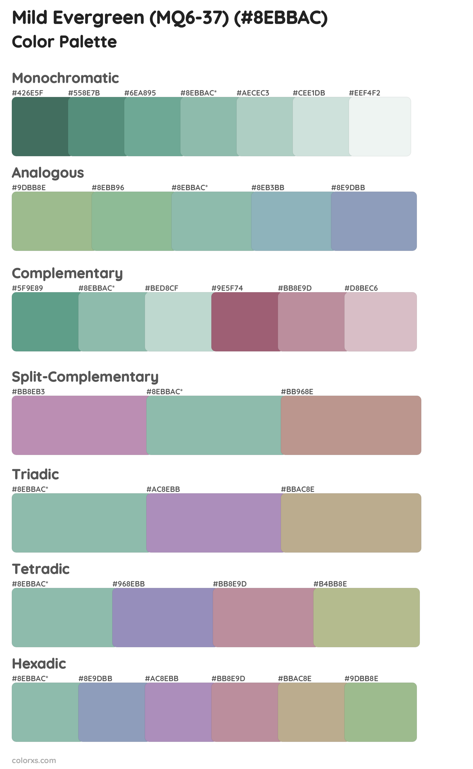 Mild Evergreen (MQ6-37) Color Scheme Palettes