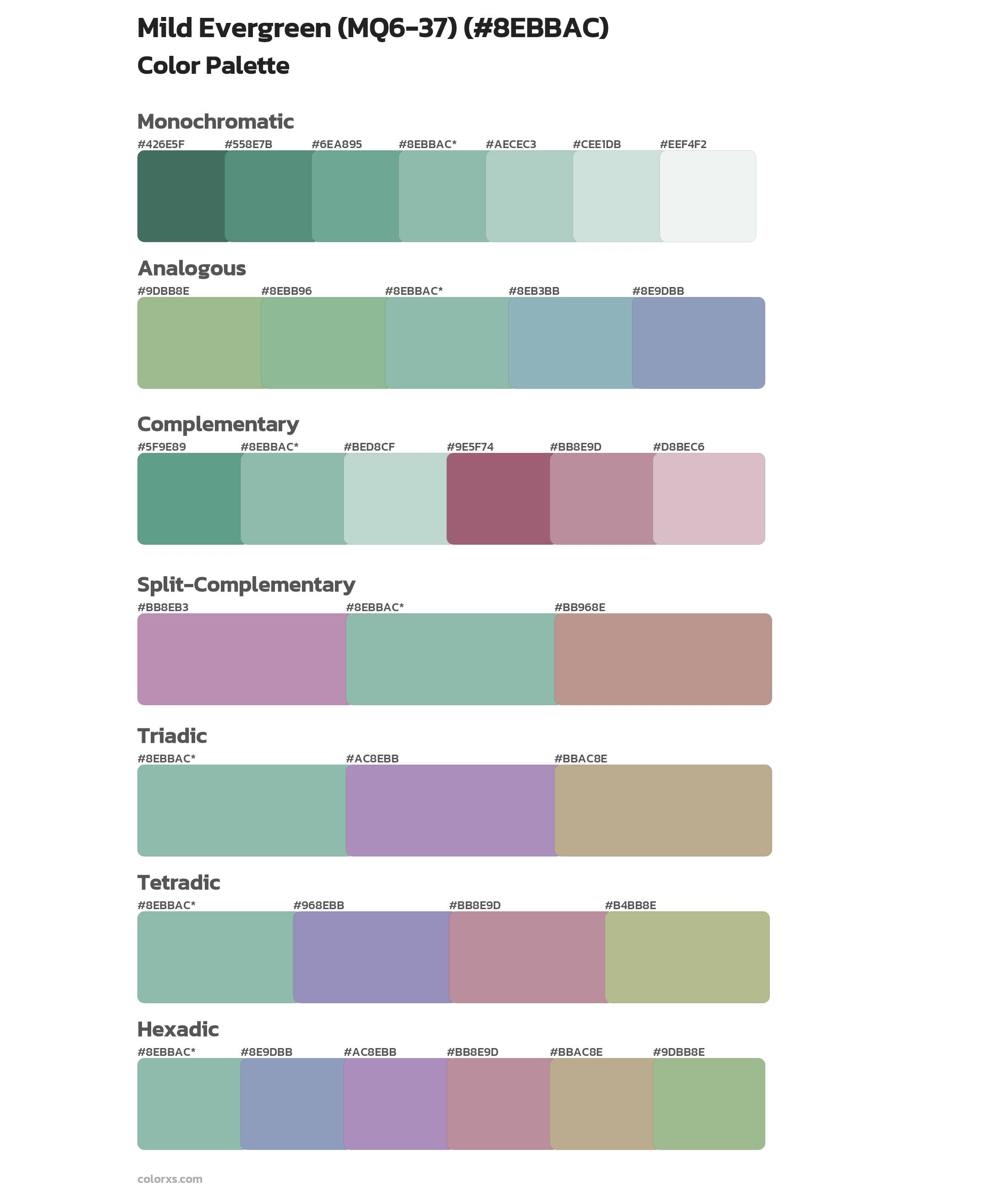 Mild Evergreen (MQ6-37) Color Scheme Palettes