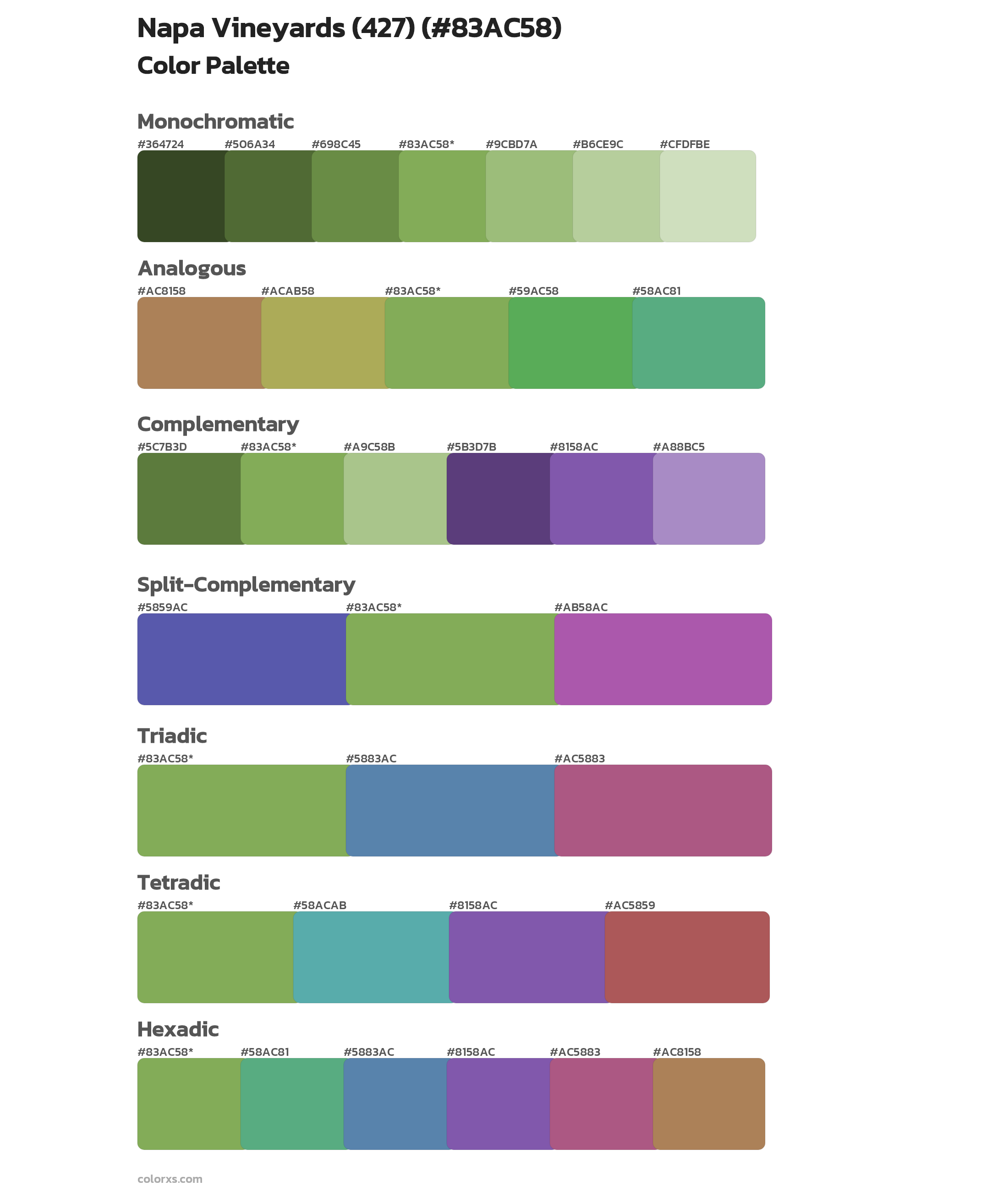 Napa Vineyards (427) Color Scheme Palettes