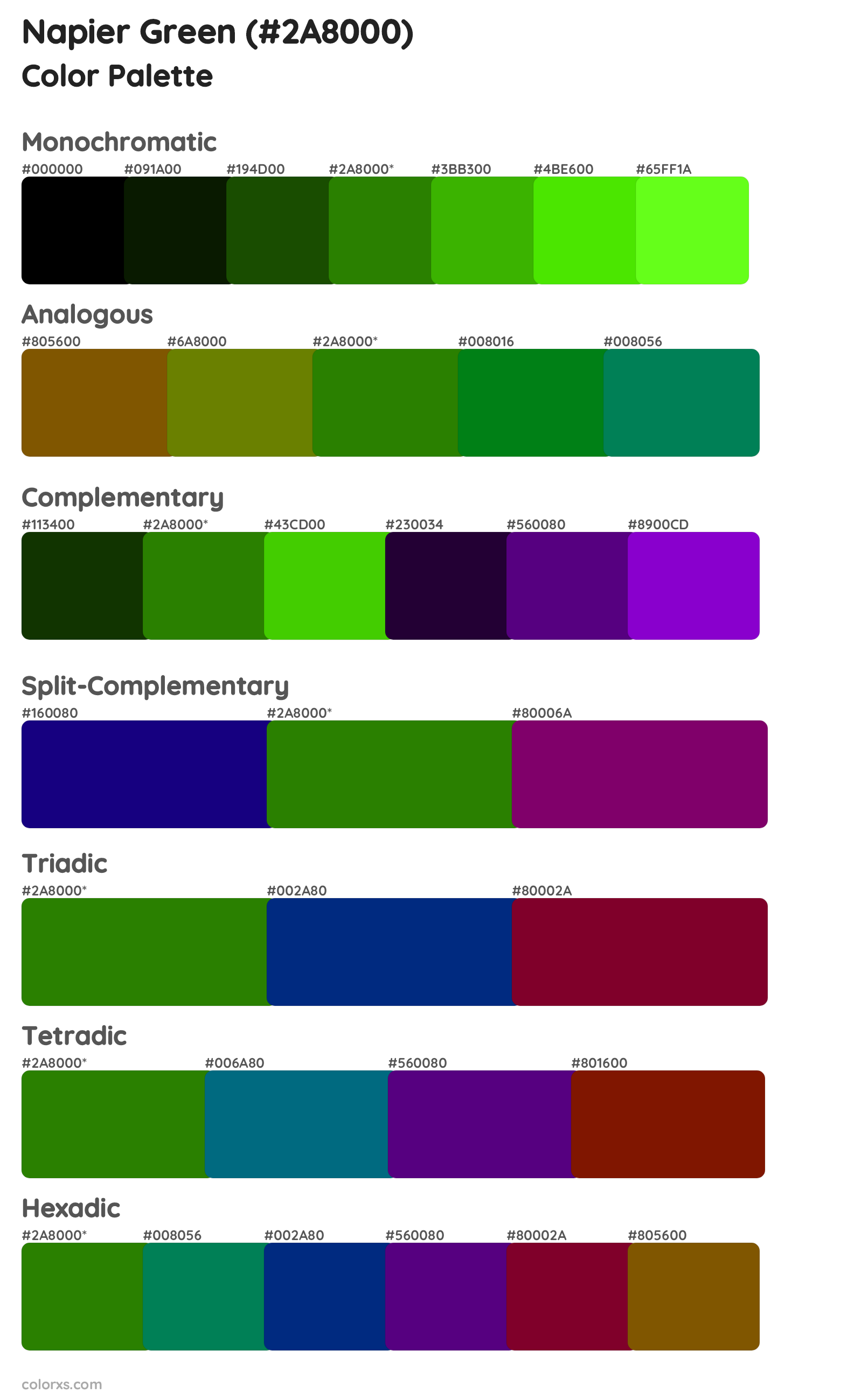 Napier Green Color Scheme Palettes