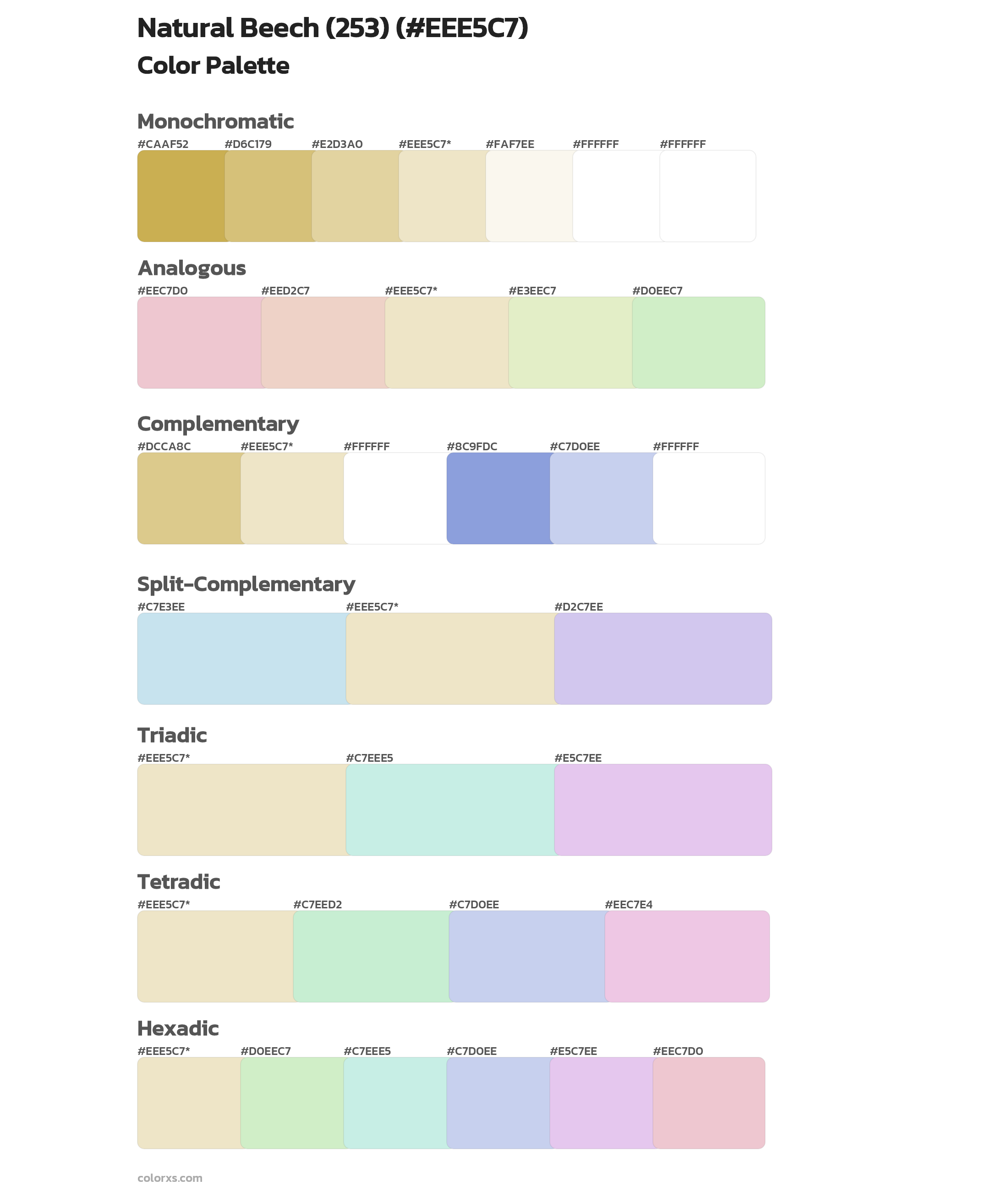 Natural Beech (253) Color Scheme Palettes