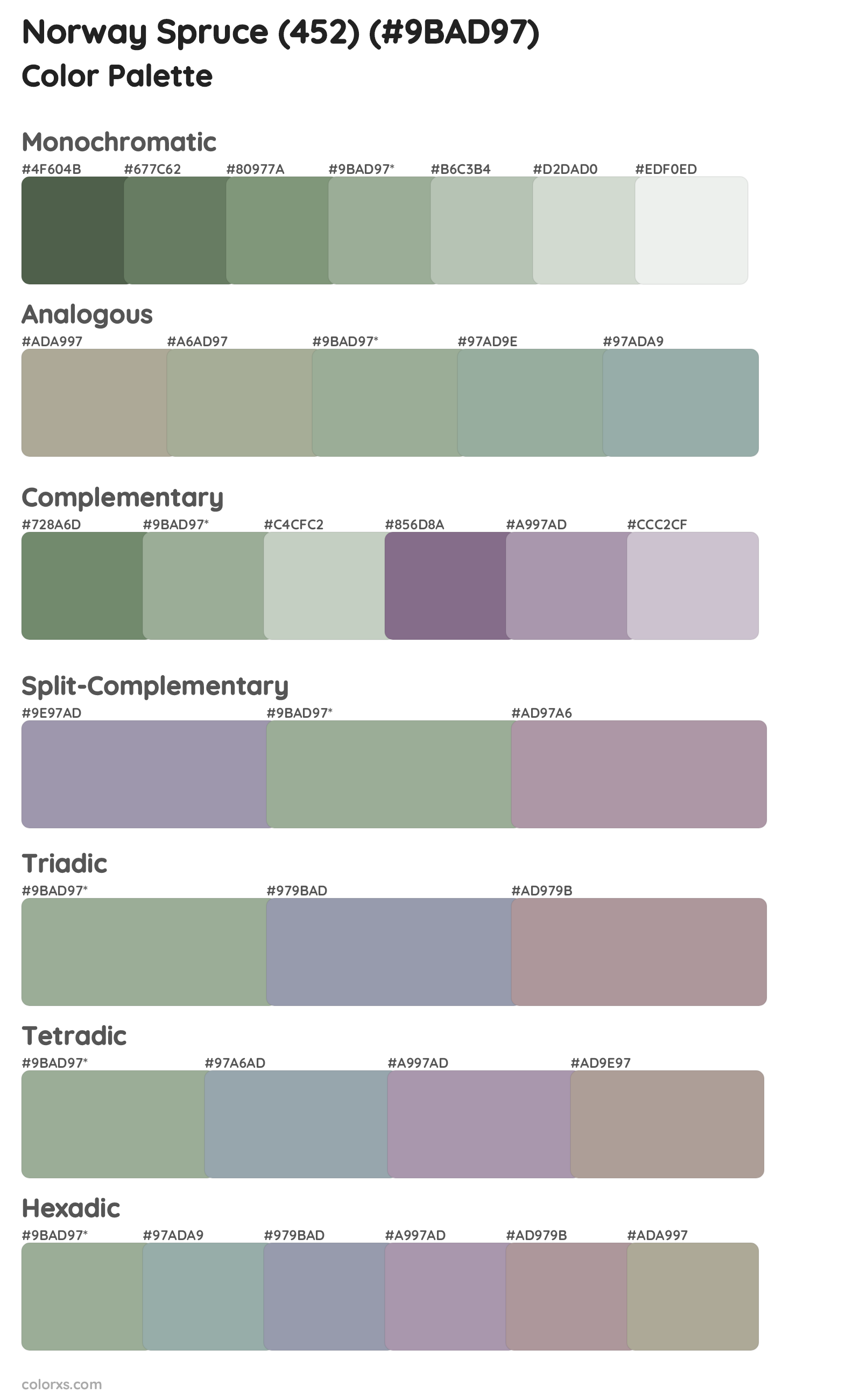 Norway Spruce (452) Color Scheme Palettes