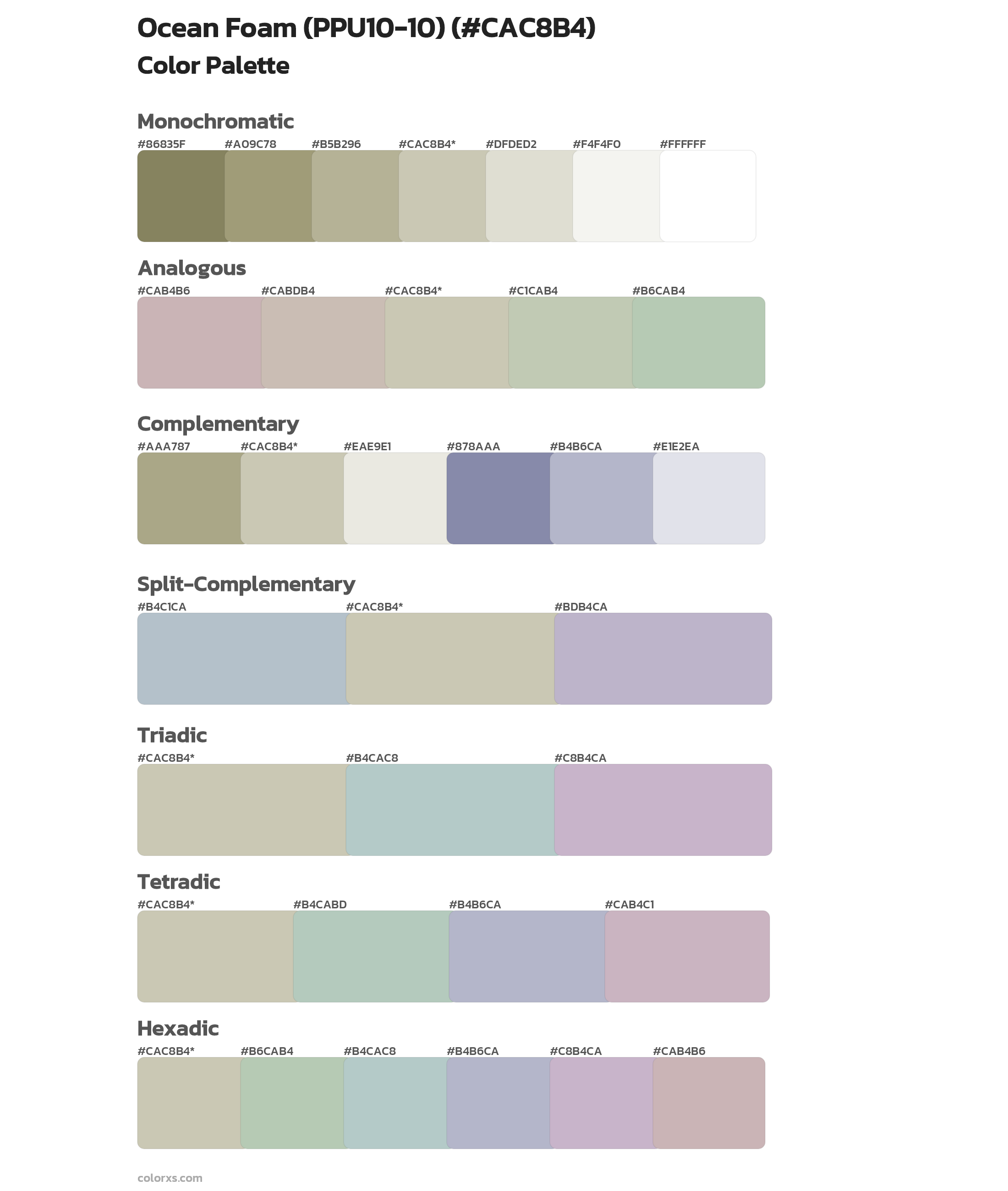 Ocean Foam (PPU10-10) Color Scheme Palettes