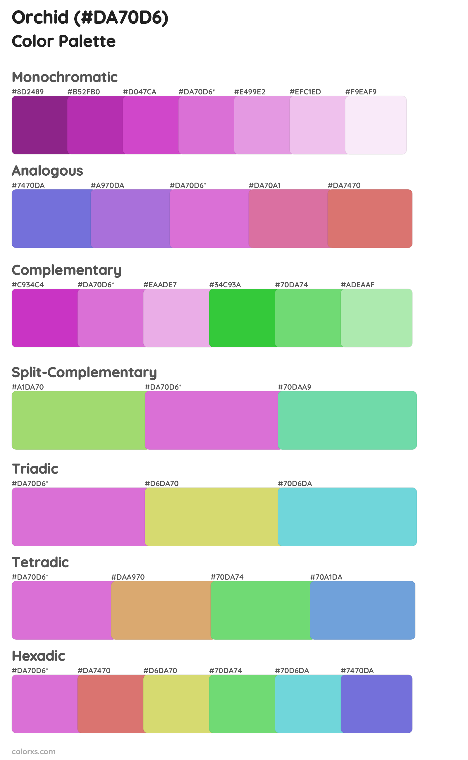 Orchid Color Scheme Palettes