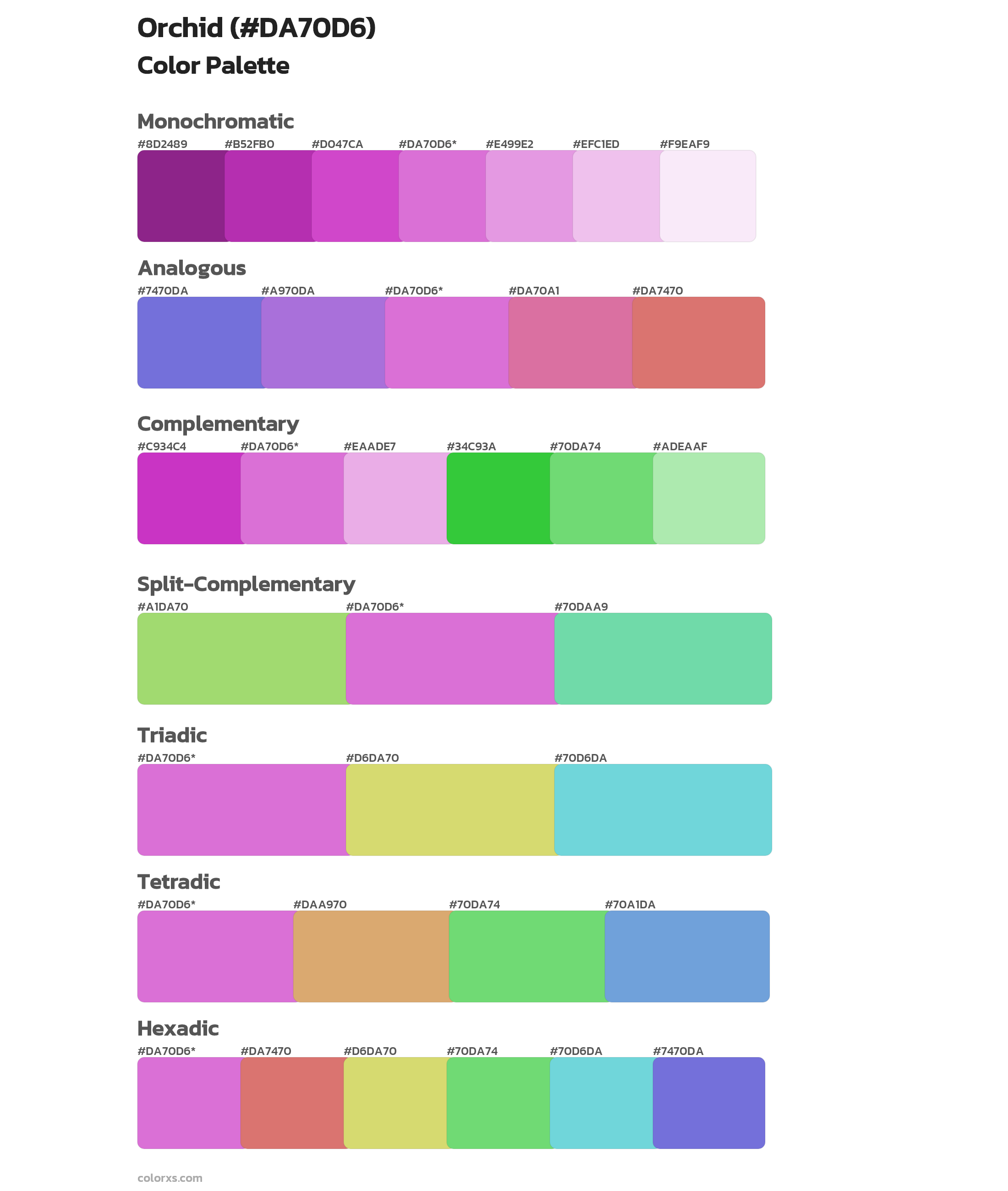 Orchid color palettes
