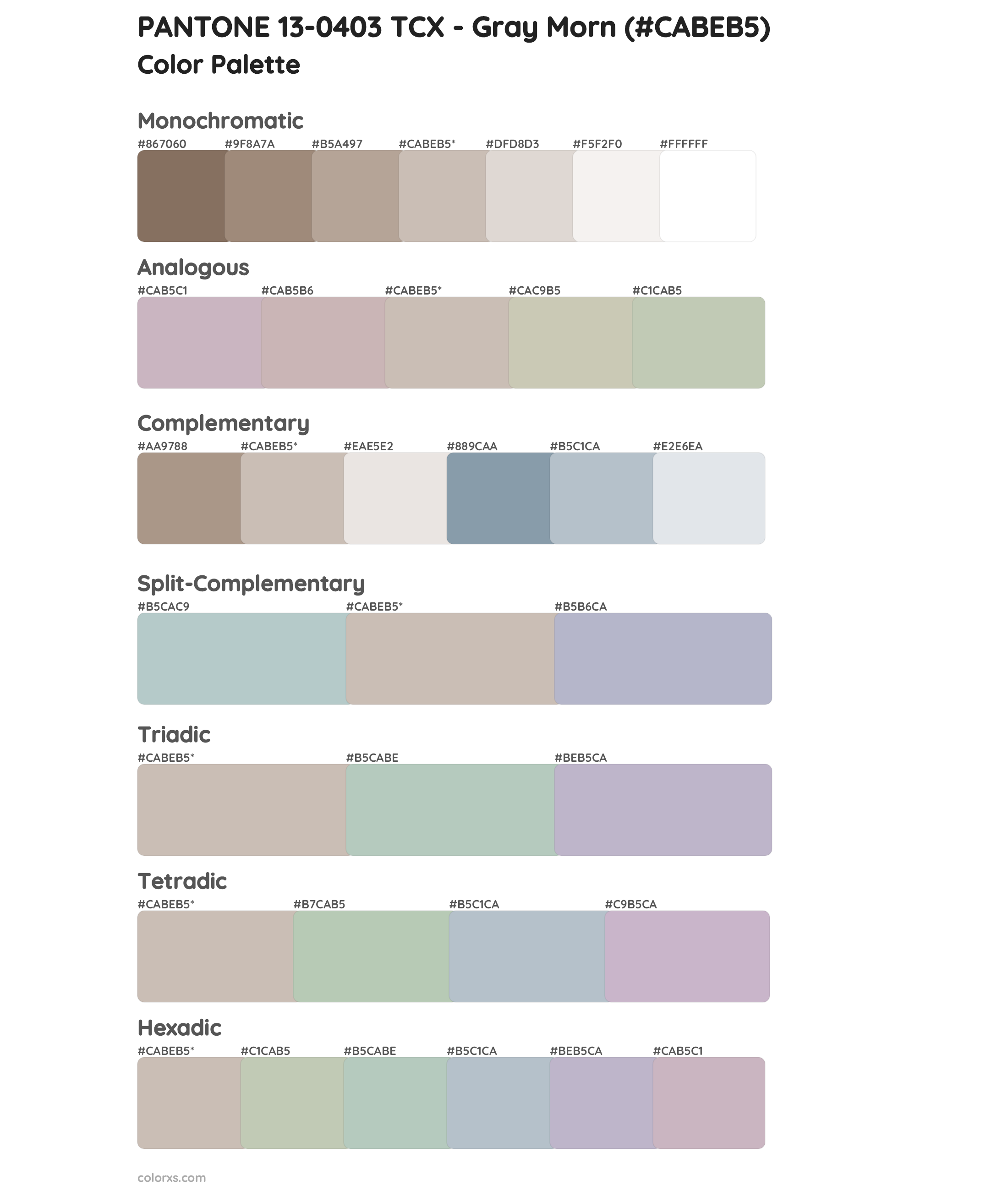 PANTONE 13-0403 TCX - Gray Morn Color Scheme Palettes