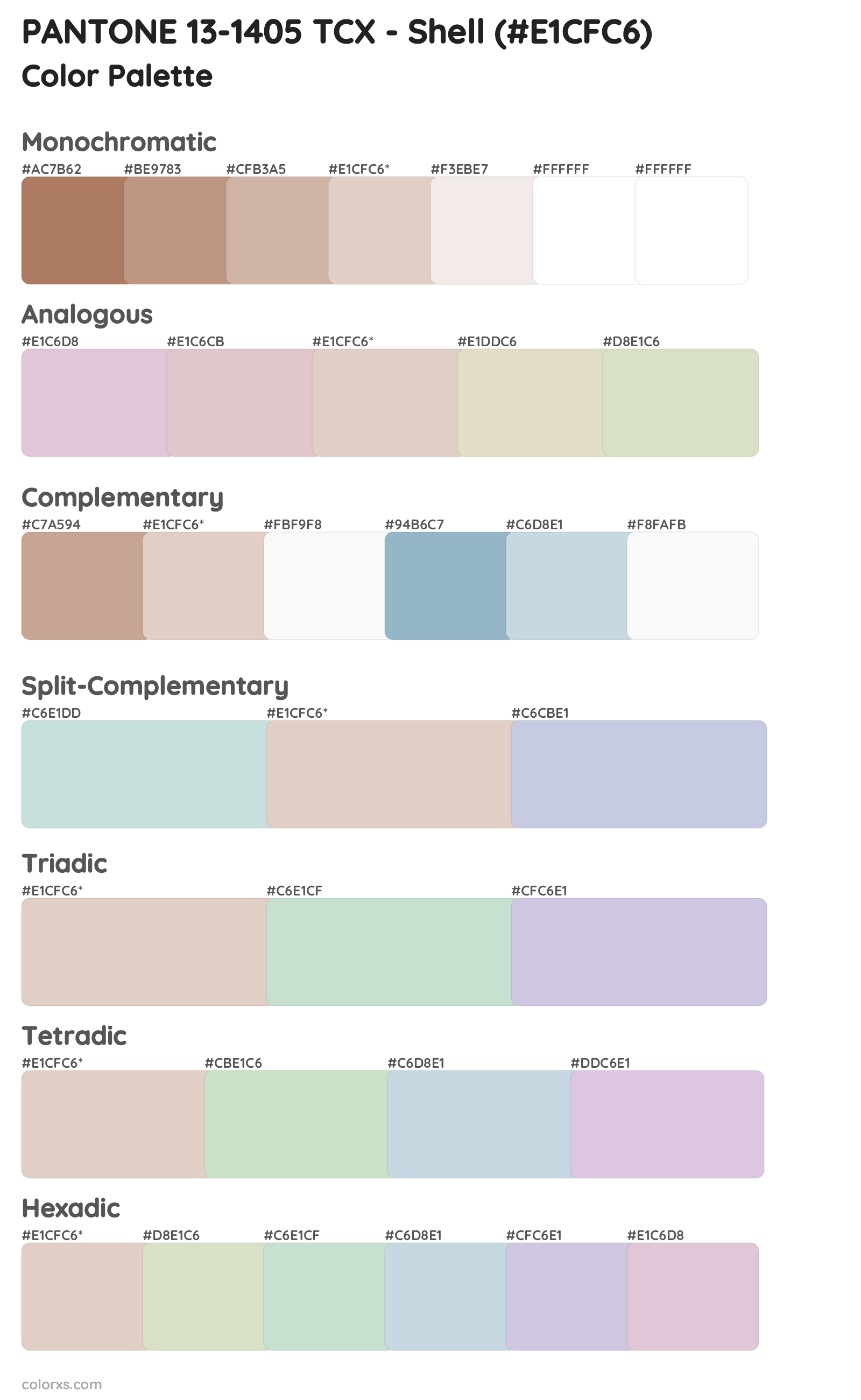PANTONE 13-1405 TCX - Shell Color Scheme Palettes
