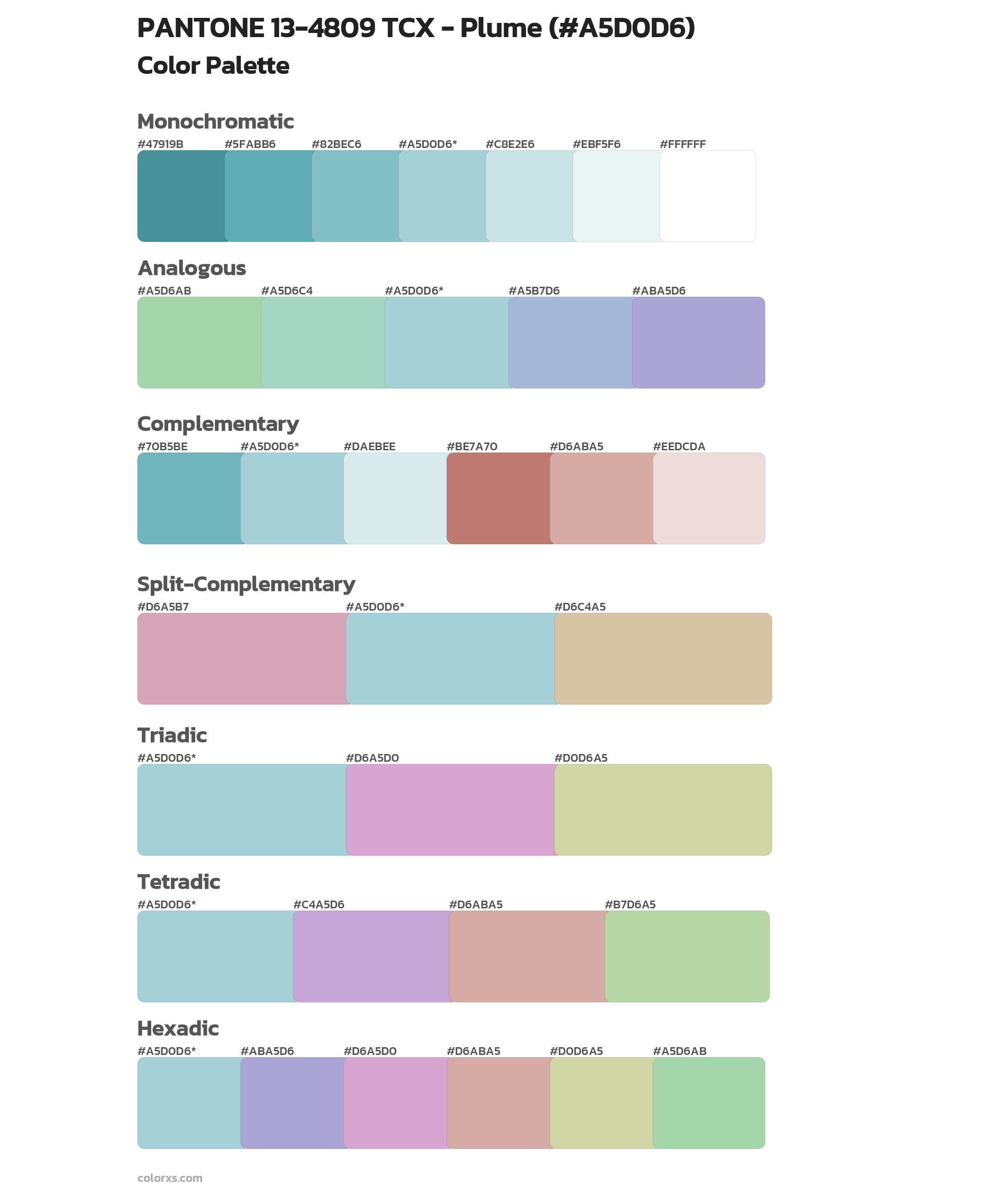 PANTONE 13-4809 TCX - Plume Color Scheme Palettes