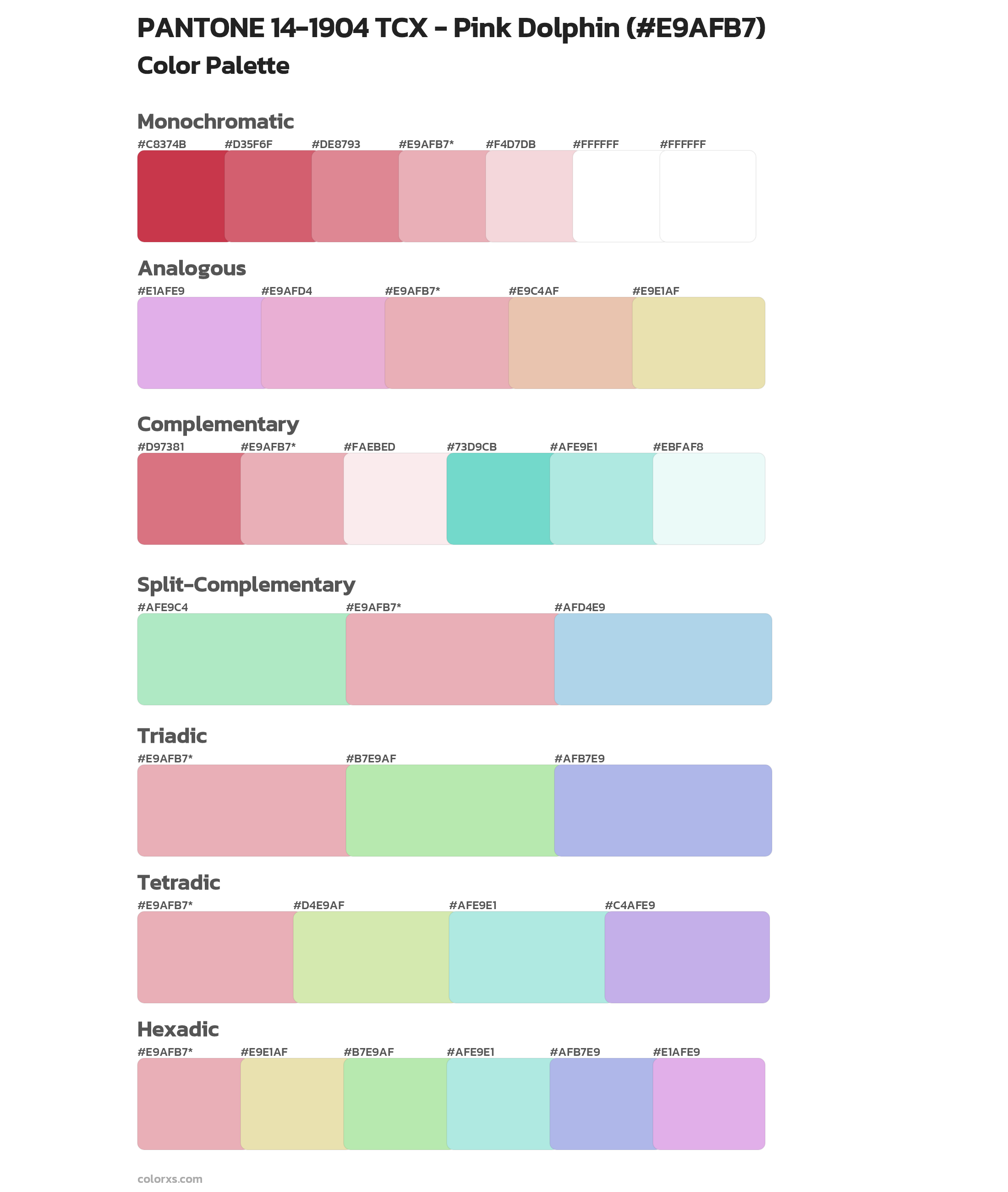 PANTONE 14-1904 TCX - Pink Dolphin Color Scheme Palettes