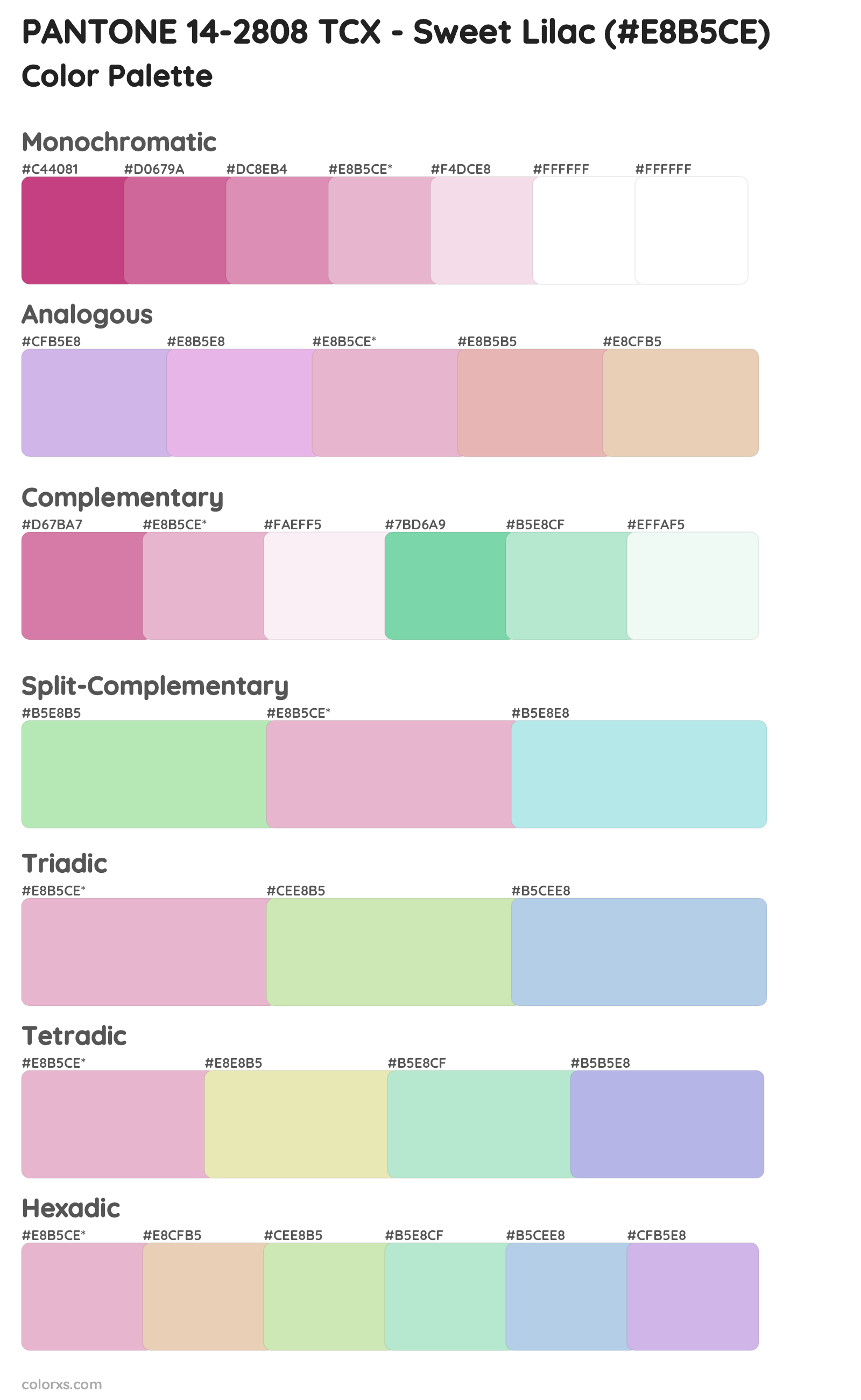 PANTONE 14-2808 TCX - Sweet Lilac Color Scheme Palettes