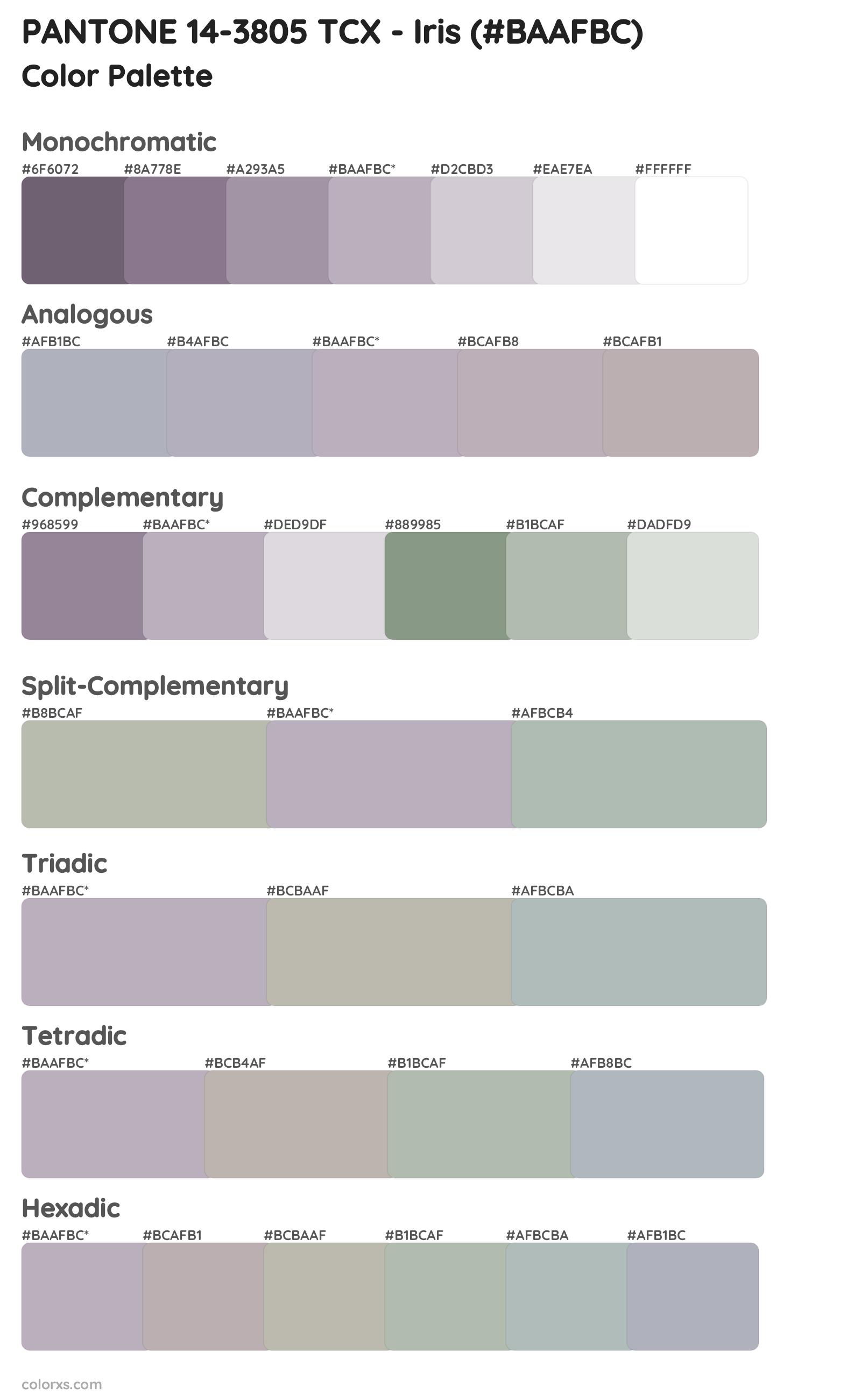 PANTONE 14-3805 TCX - Iris Color Scheme Palettes