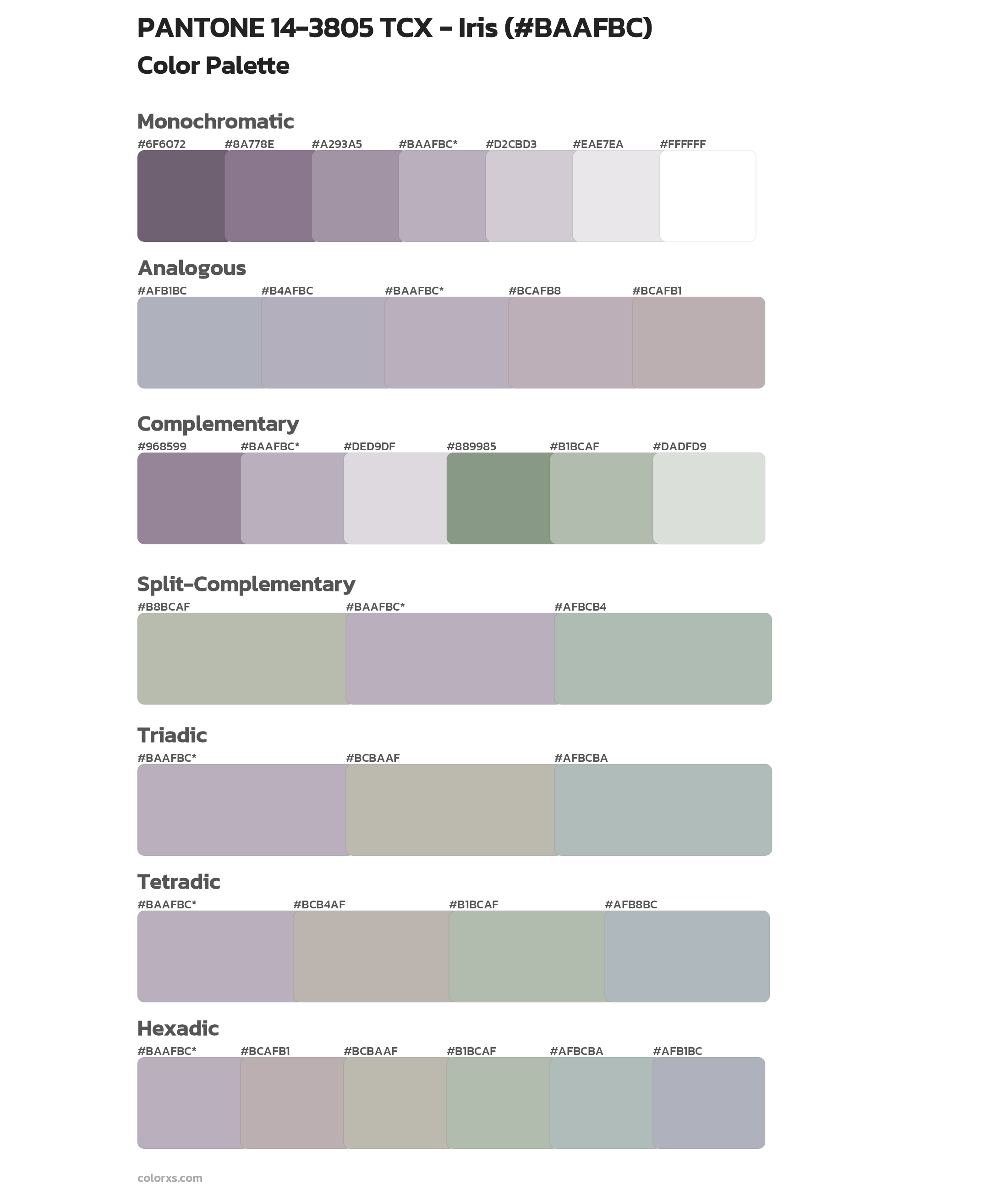 PANTONE 14-3805 TCX - Iris Color Scheme Palettes