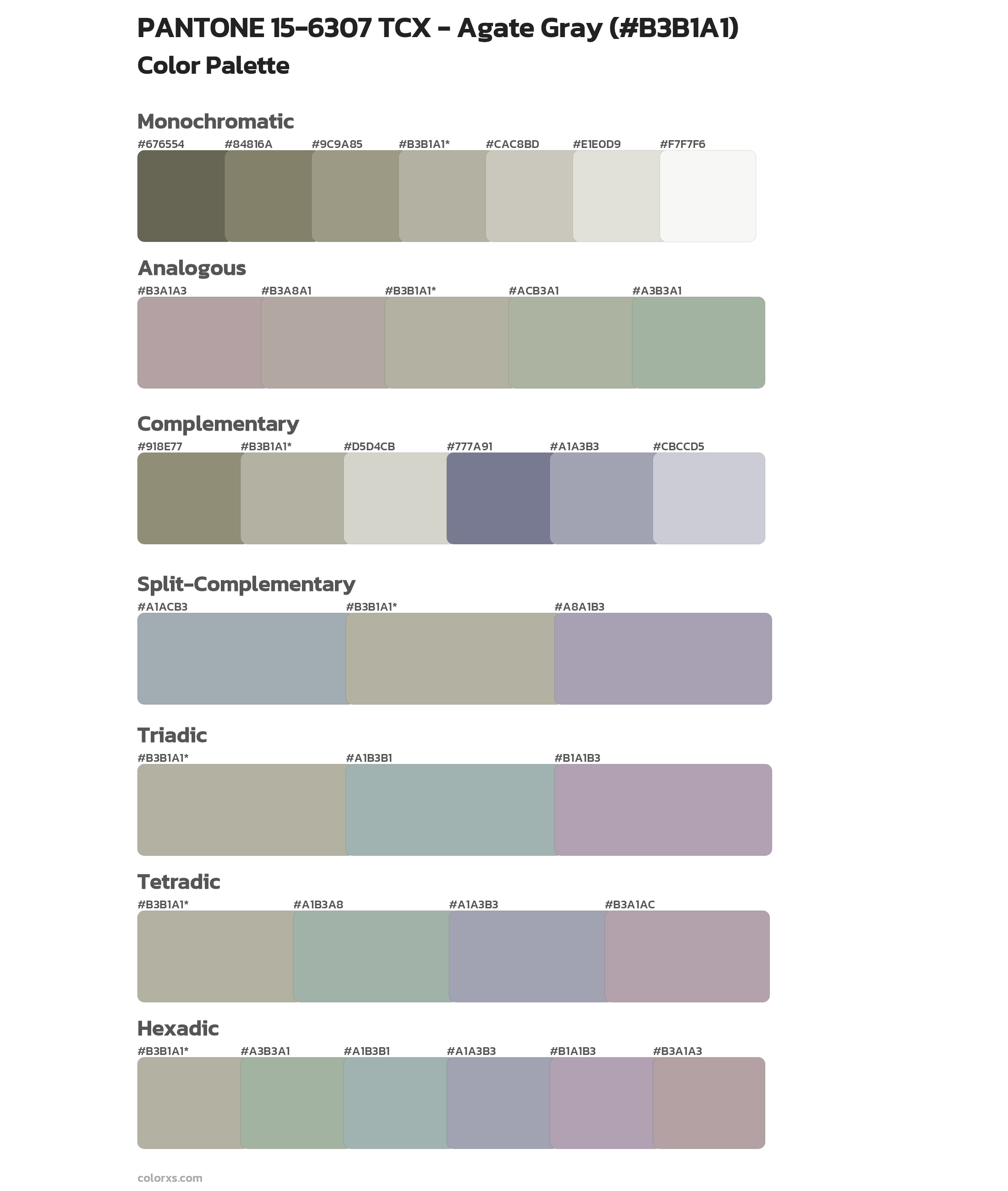 PANTONE 15-6307 TCX - Agate Gray Color Scheme Palettes