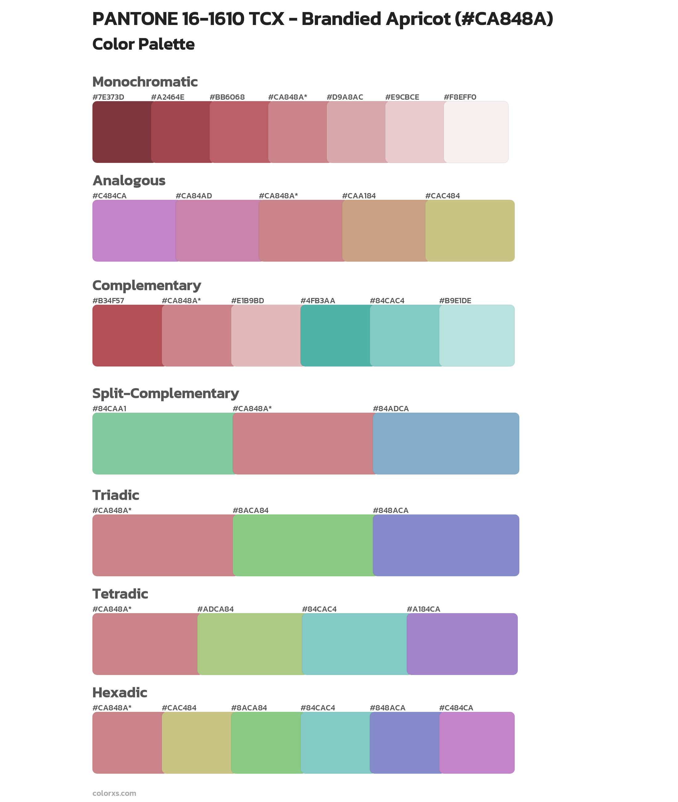 PANTONE 16-1610 TCX - Brandied Apricot Color Scheme Palettes