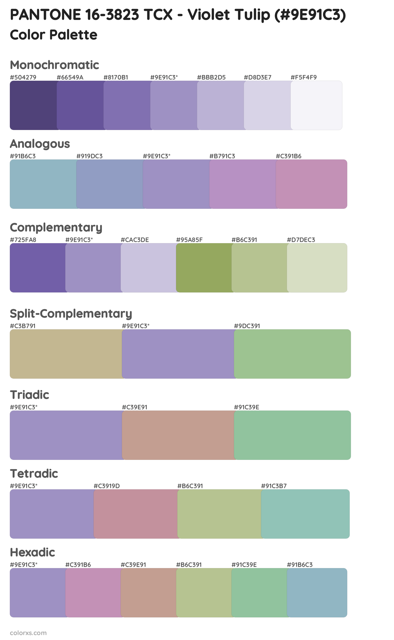PANTONE 16-3823 TCX - Violet Tulip Color Scheme Palettes
