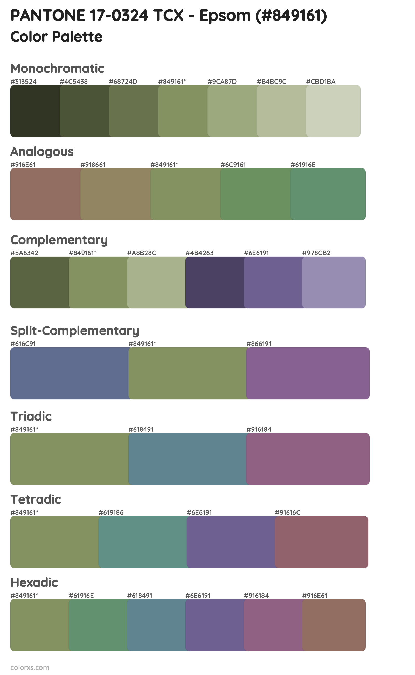 PANTONE 17-0324 TCX - Epsom Color Scheme Palettes