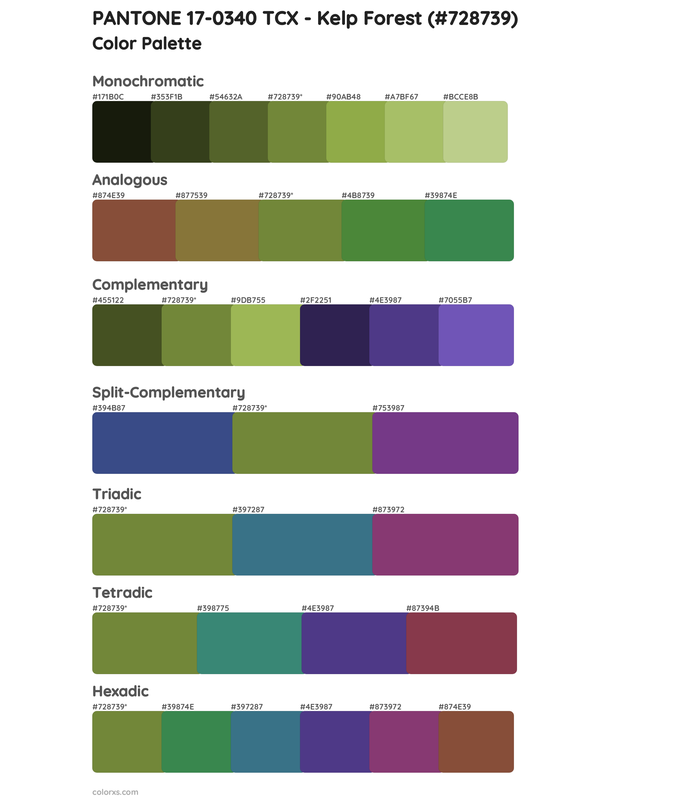PANTONE 17-0340 TCX - Kelp Forest Color Scheme Palettes