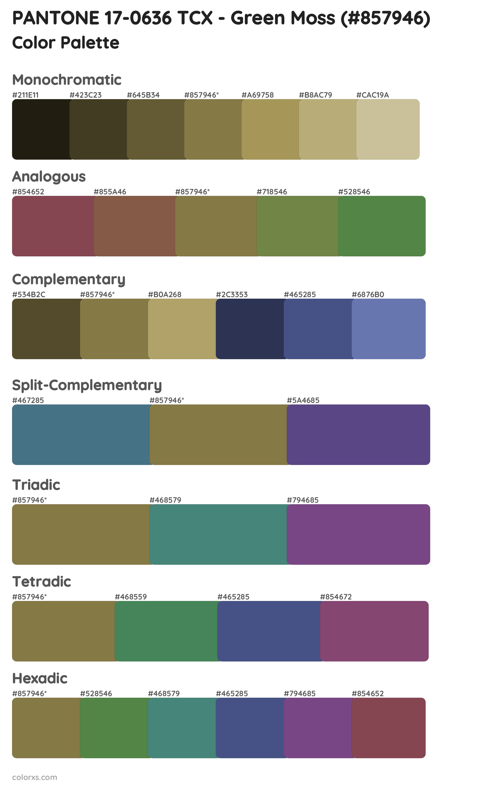 PANTONE 17-0636 TCX - Green Moss Color Scheme Palettes