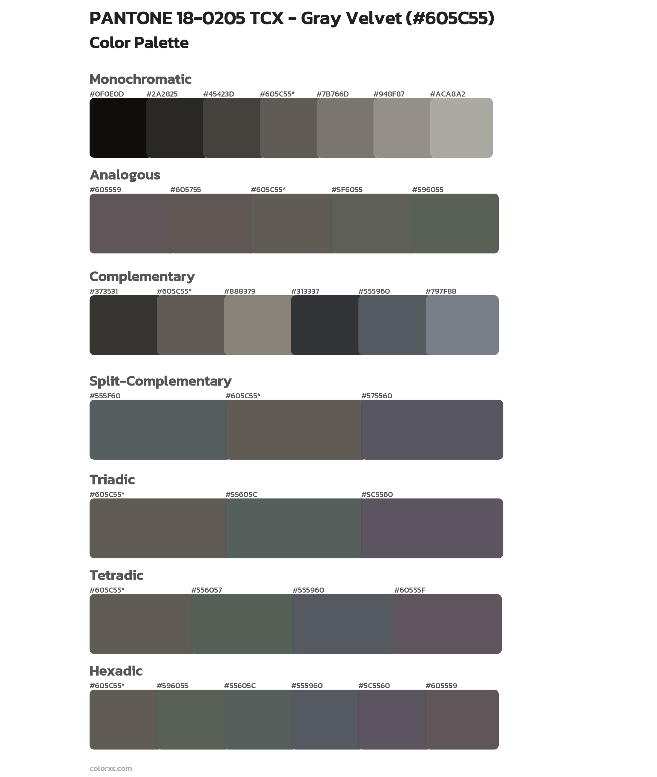 PANTONE 18-0205 TCX - Gray Velvet Color Scheme Palettes