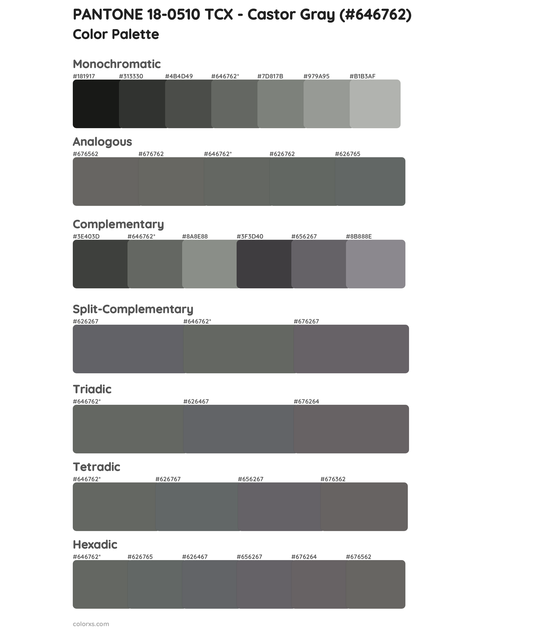 PANTONE 18-0510 TCX - Castor Gray Color Scheme Palettes