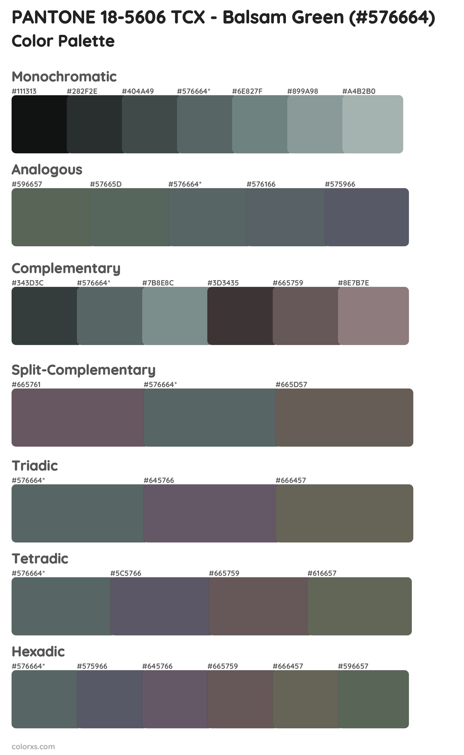PANTONE 18-5606 TCX - Balsam Green Color Scheme Palettes