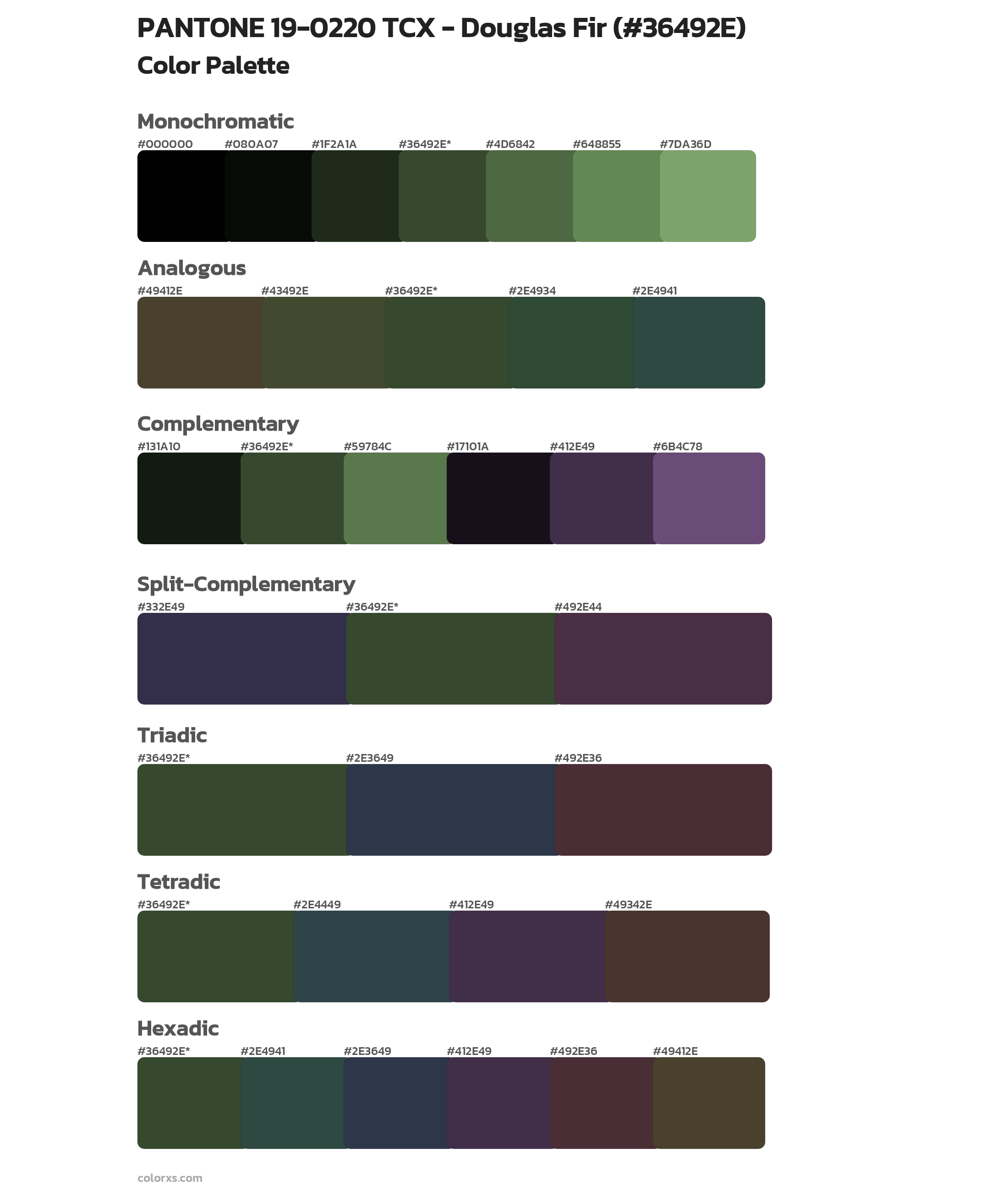 PANTONE 19-0220 TCX - Douglas Fir Color Scheme Palettes