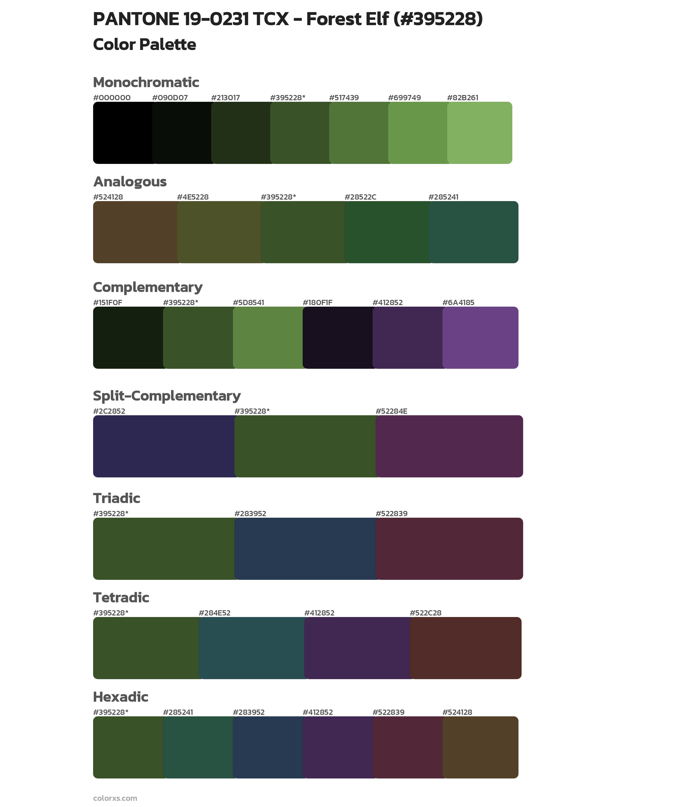 PANTONE 19-0231 TCX - Forest Elf Color Scheme Palettes