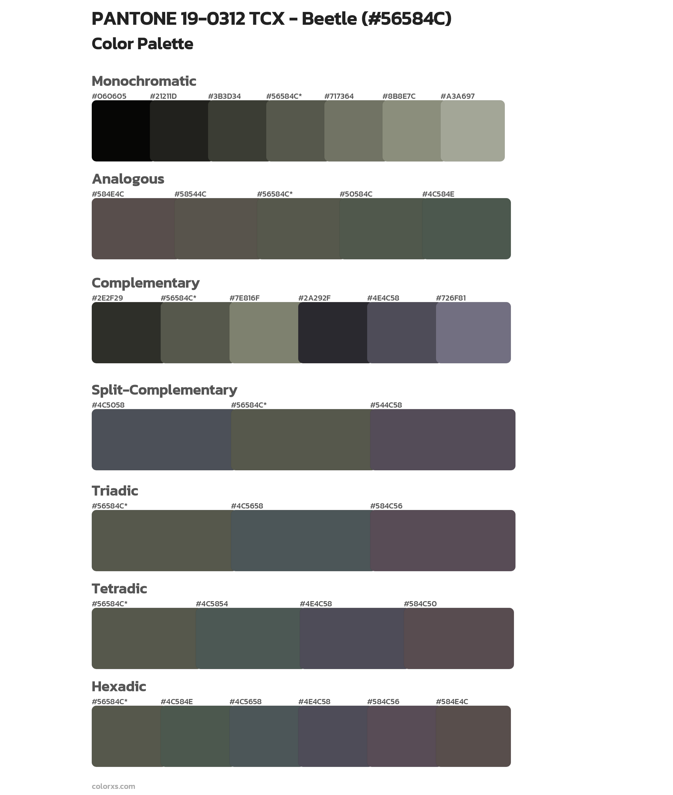 PANTONE 19-0312 TCX - Beetle Color Scheme Palettes