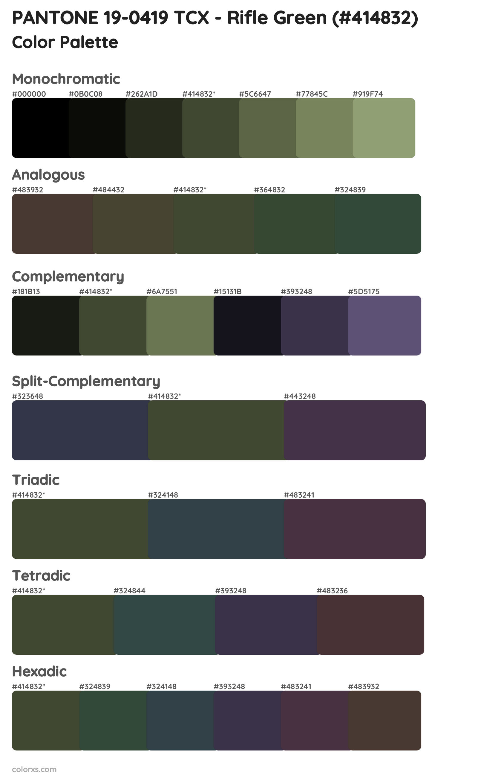 PANTONE 19-0419 TCX - Rifle Green Color Scheme Palettes