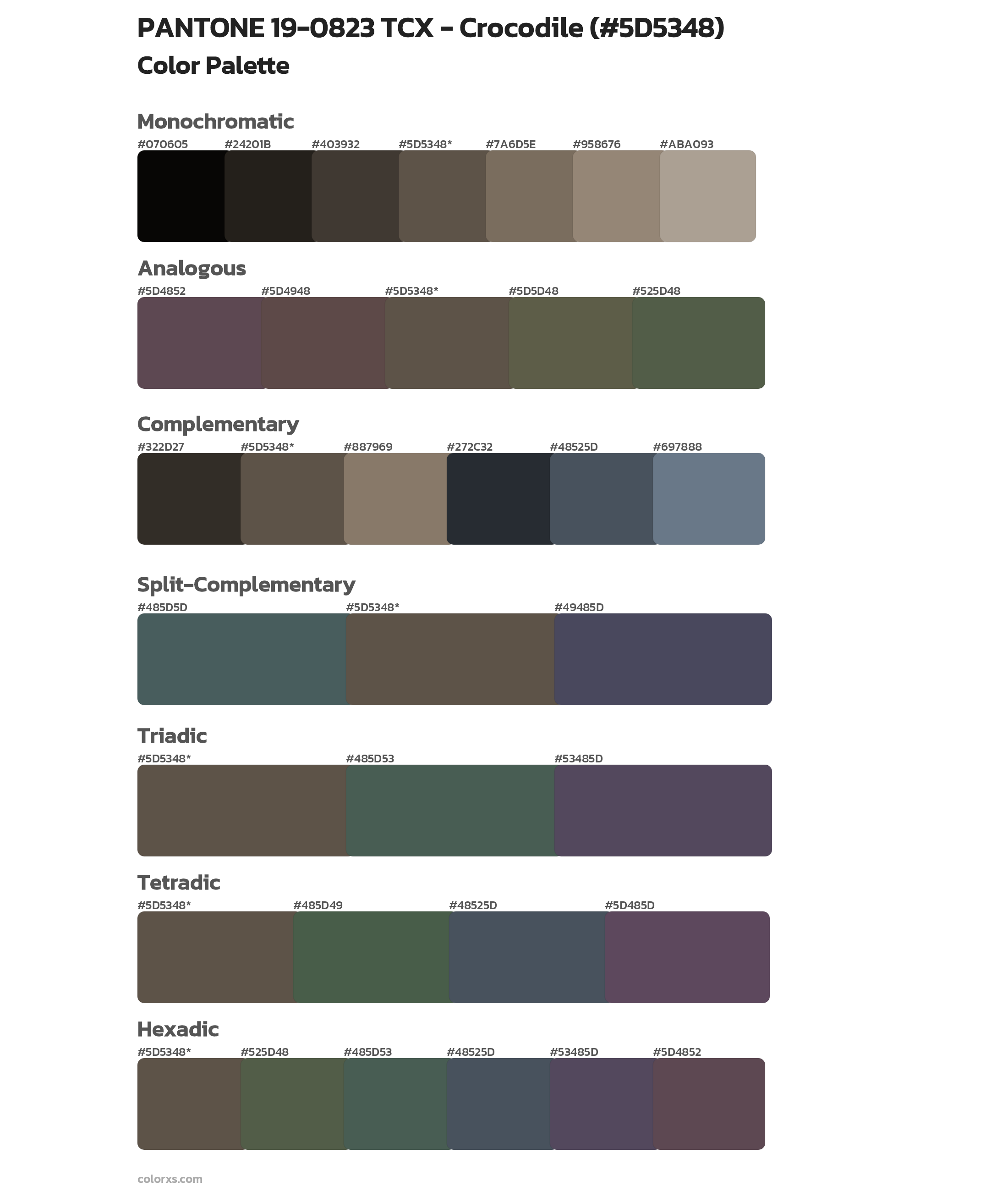 PANTONE 19-0823 TCX - Crocodile Color Scheme Palettes