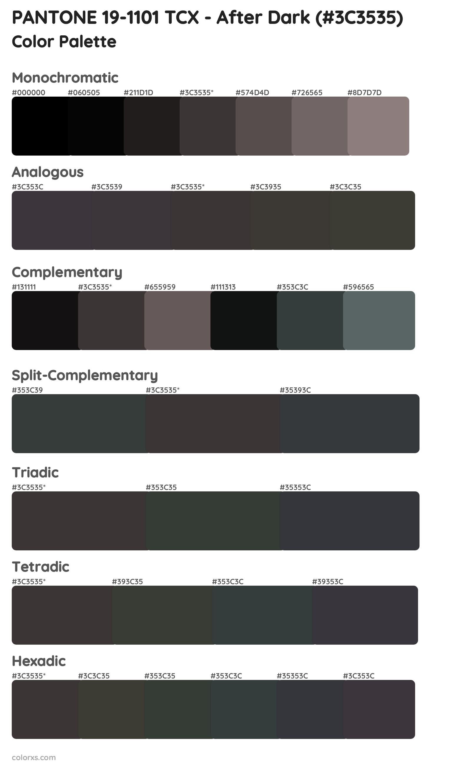 PANTONE 19-1101 TCX - After Dark Color Scheme Palettes