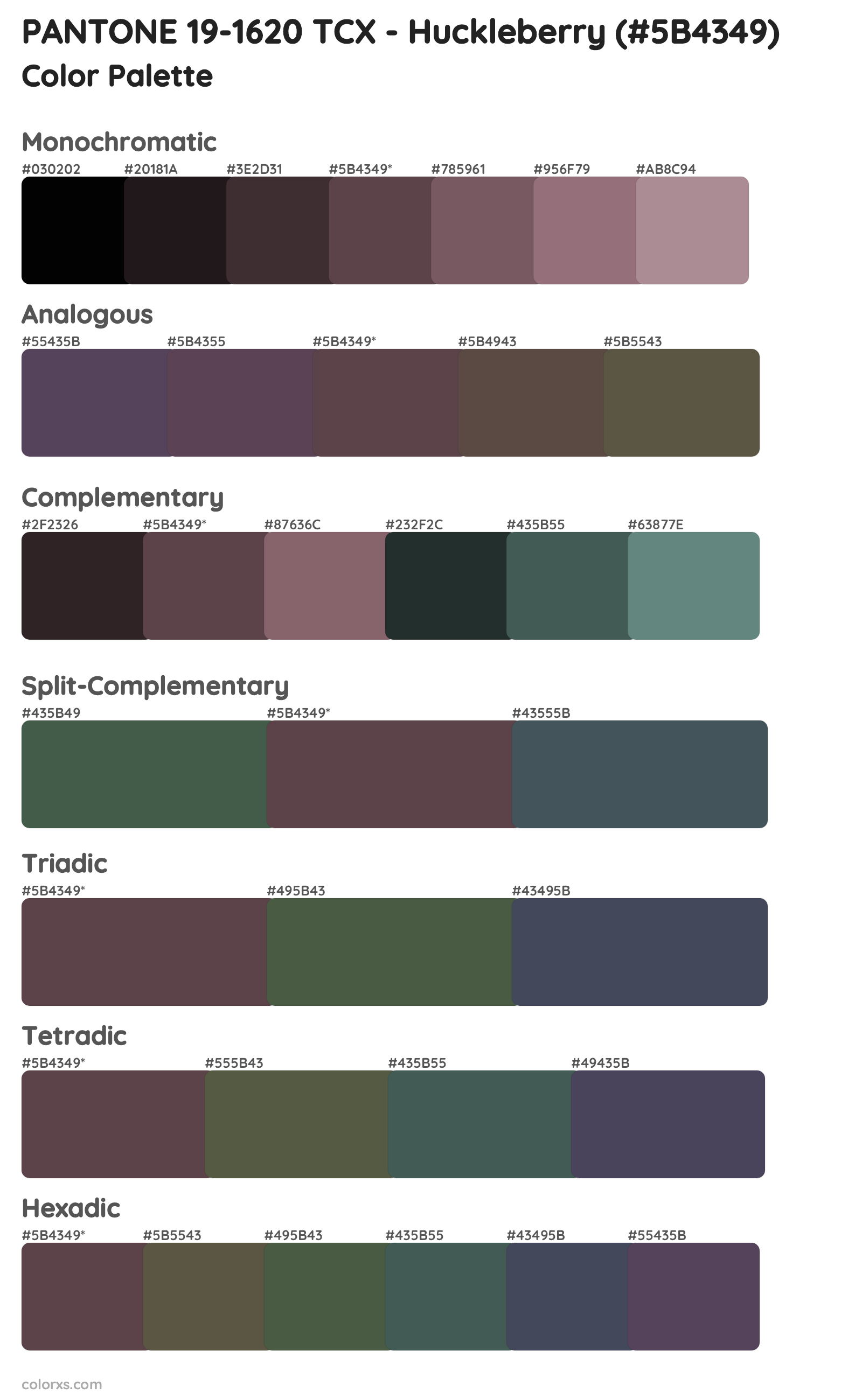 PANTONE 19-1620 TCX - Huckleberry Color Scheme Palettes