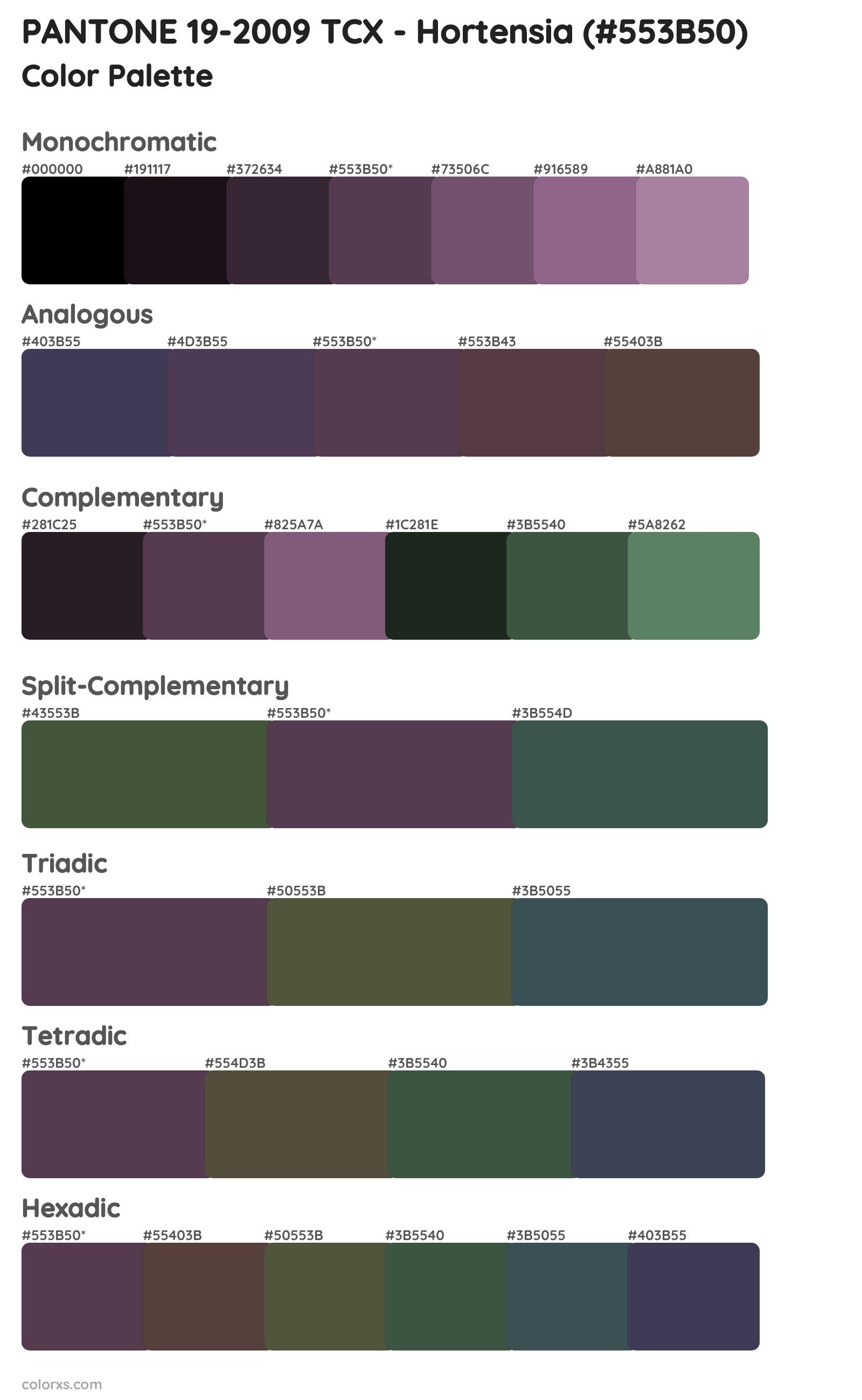 PANTONE 19-2009 TCX - Hortensia Color Scheme Palettes
