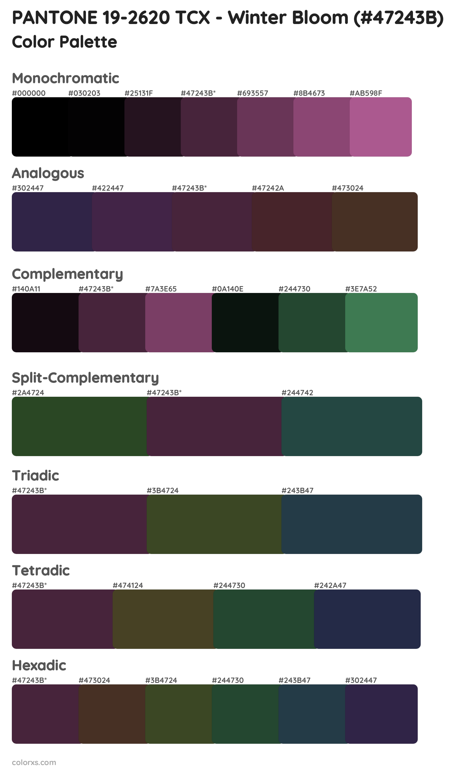 PANTONE 19-2620 TCX - Winter Bloom Color Scheme Palettes