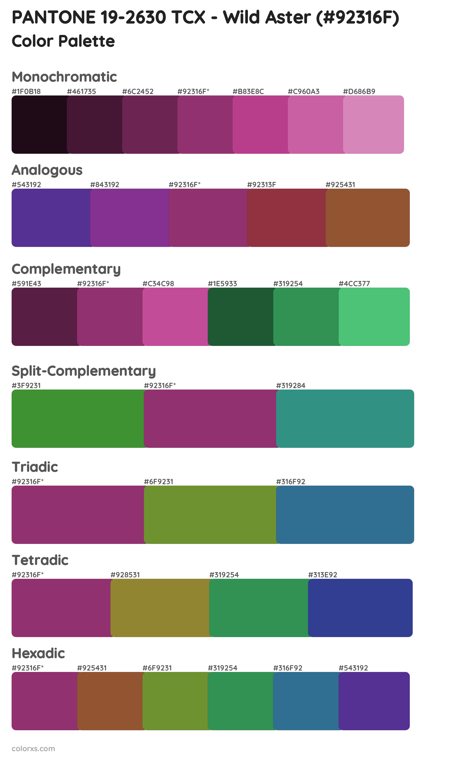 PANTONE 19-2630 TCX - Wild Aster Color Scheme Palettes