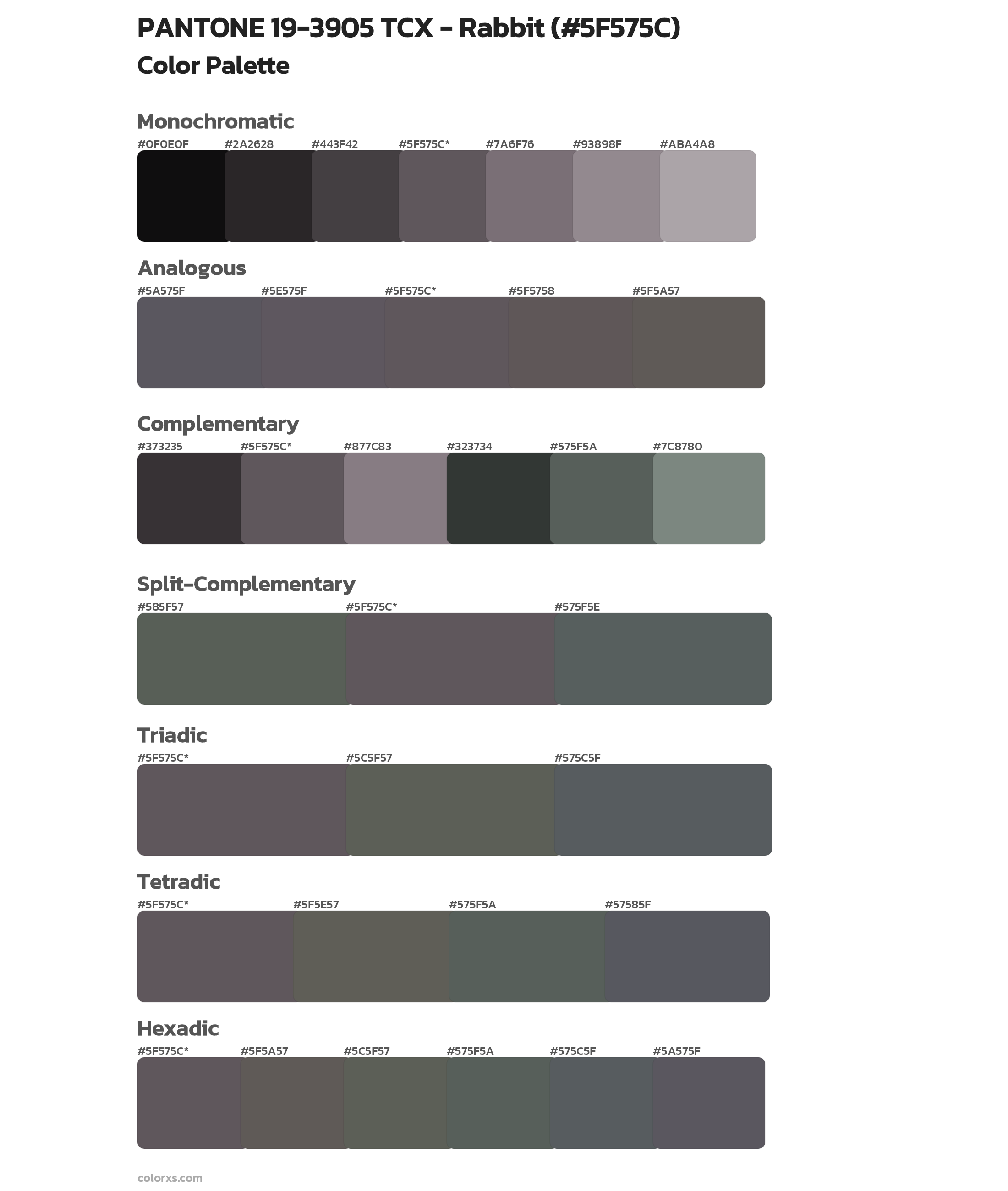 PANTONE 19-3905 TCX - Rabbit Color Scheme Palettes