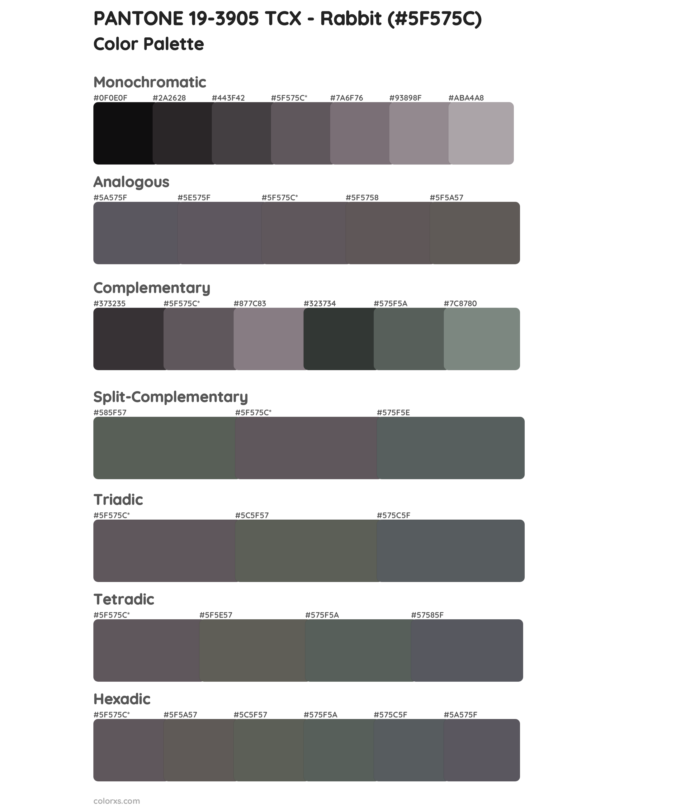PANTONE 19-3905 TCX - Rabbit Color Scheme Palettes