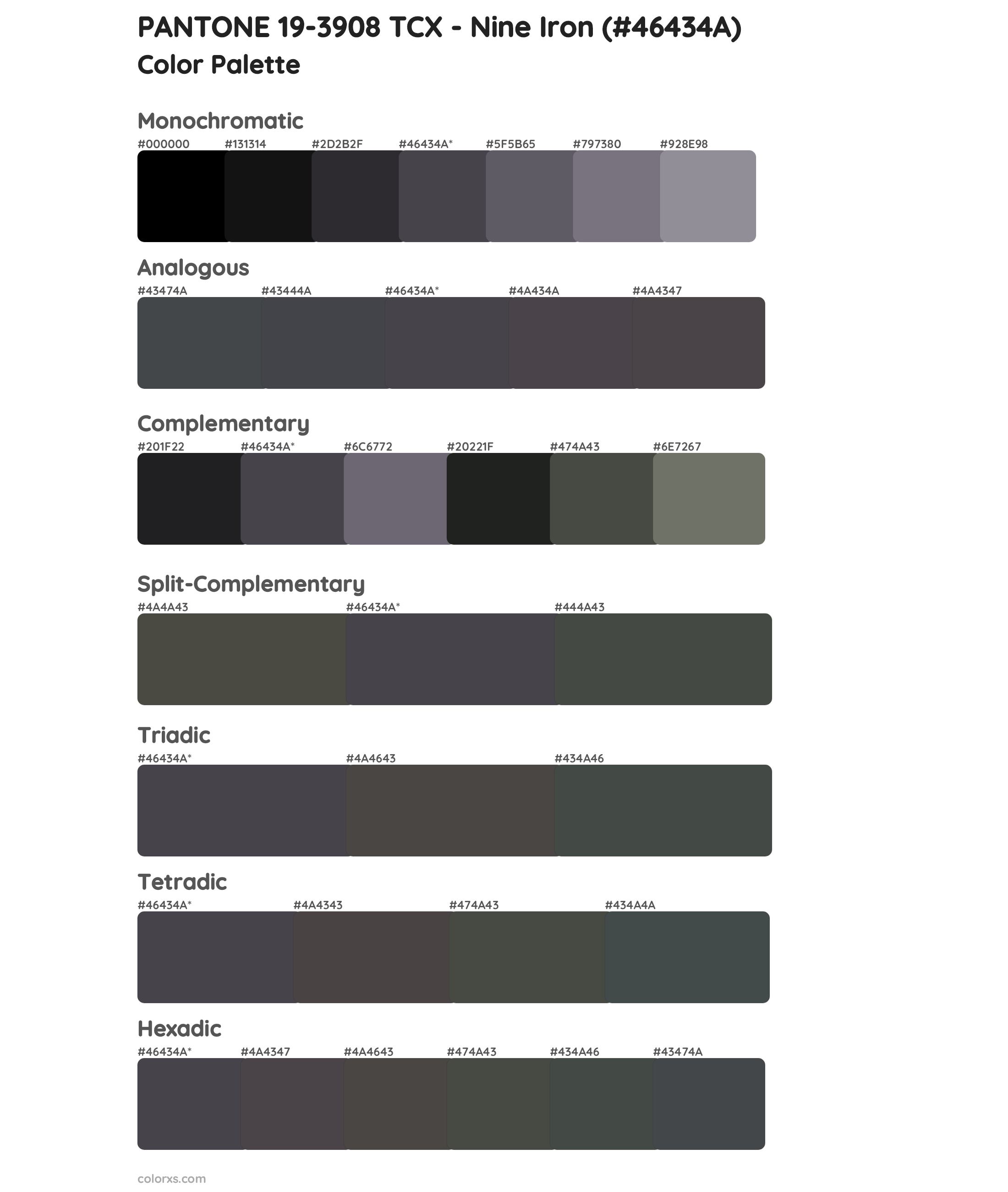 PANTONE 19-3908 TCX - Nine Iron Color Scheme Palettes