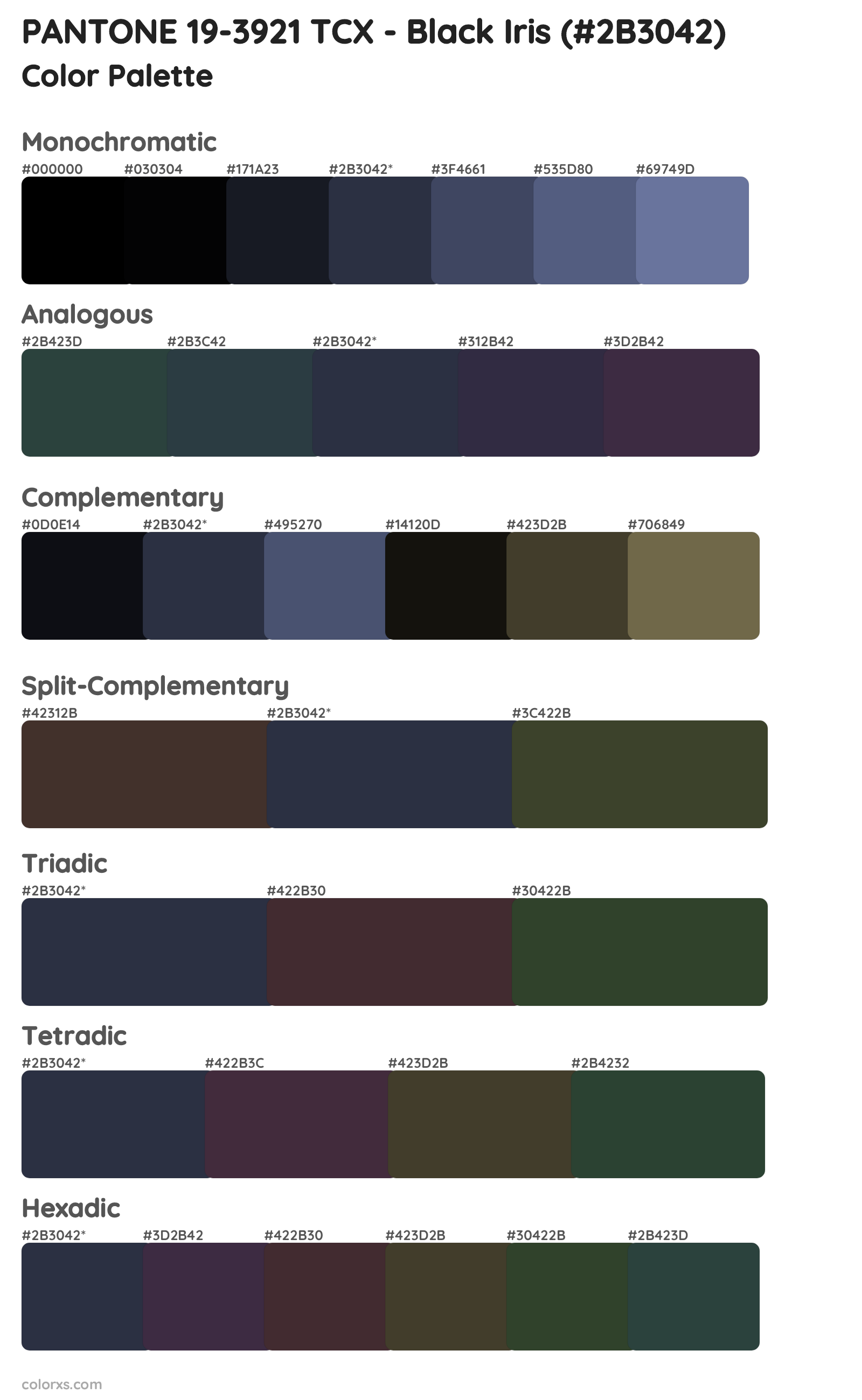 PANTONE 19-3921 TCX - Black Iris Color Scheme Palettes