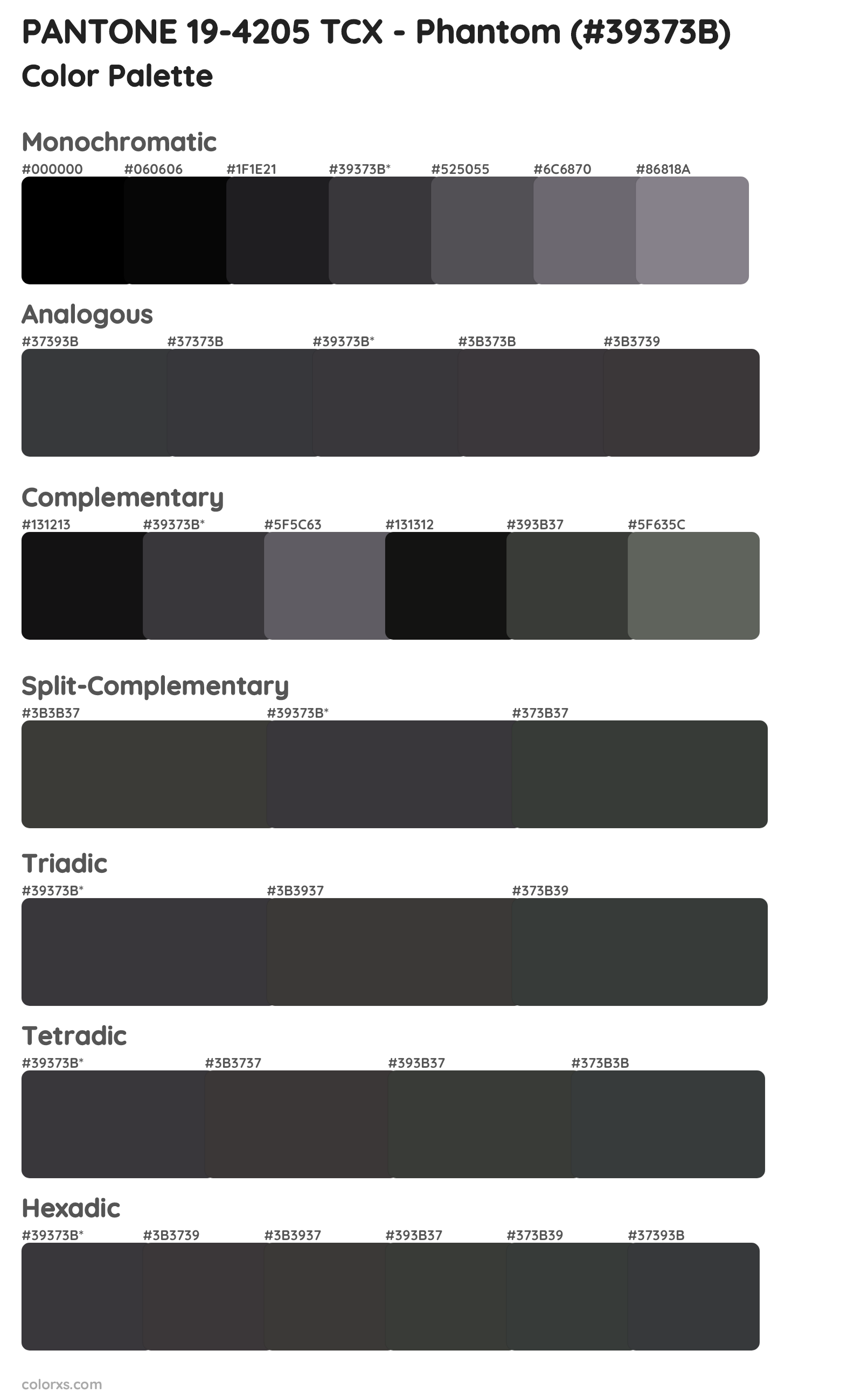 PANTONE 19-4205 TCX - Phantom Color Scheme Palettes
