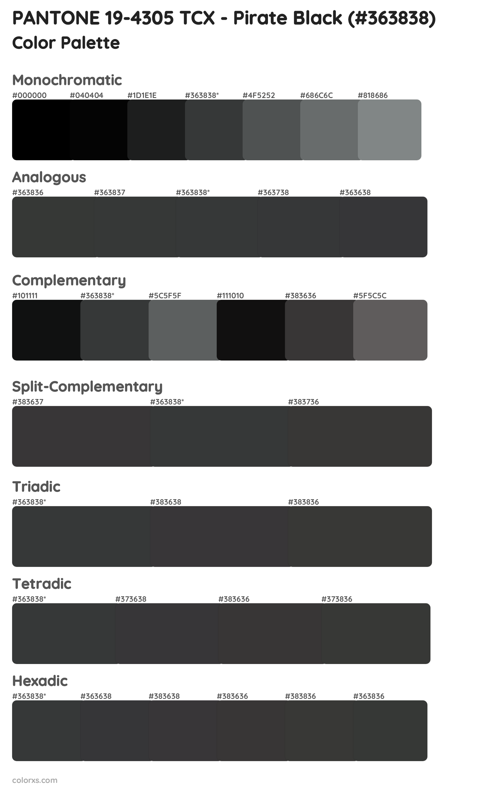 PANTONE 19-4305 TCX - Pirate Black Color Scheme Palettes
