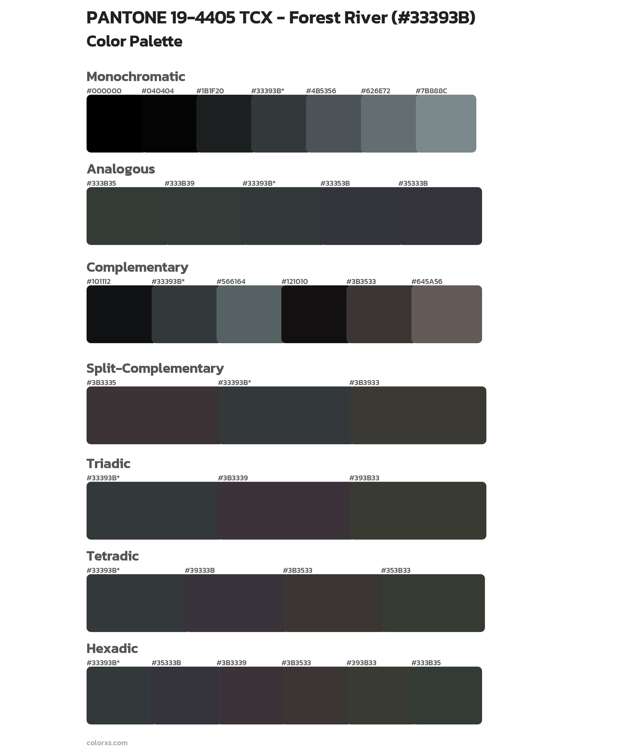 PANTONE 19-4405 TCX - Forest River Color Scheme Palettes