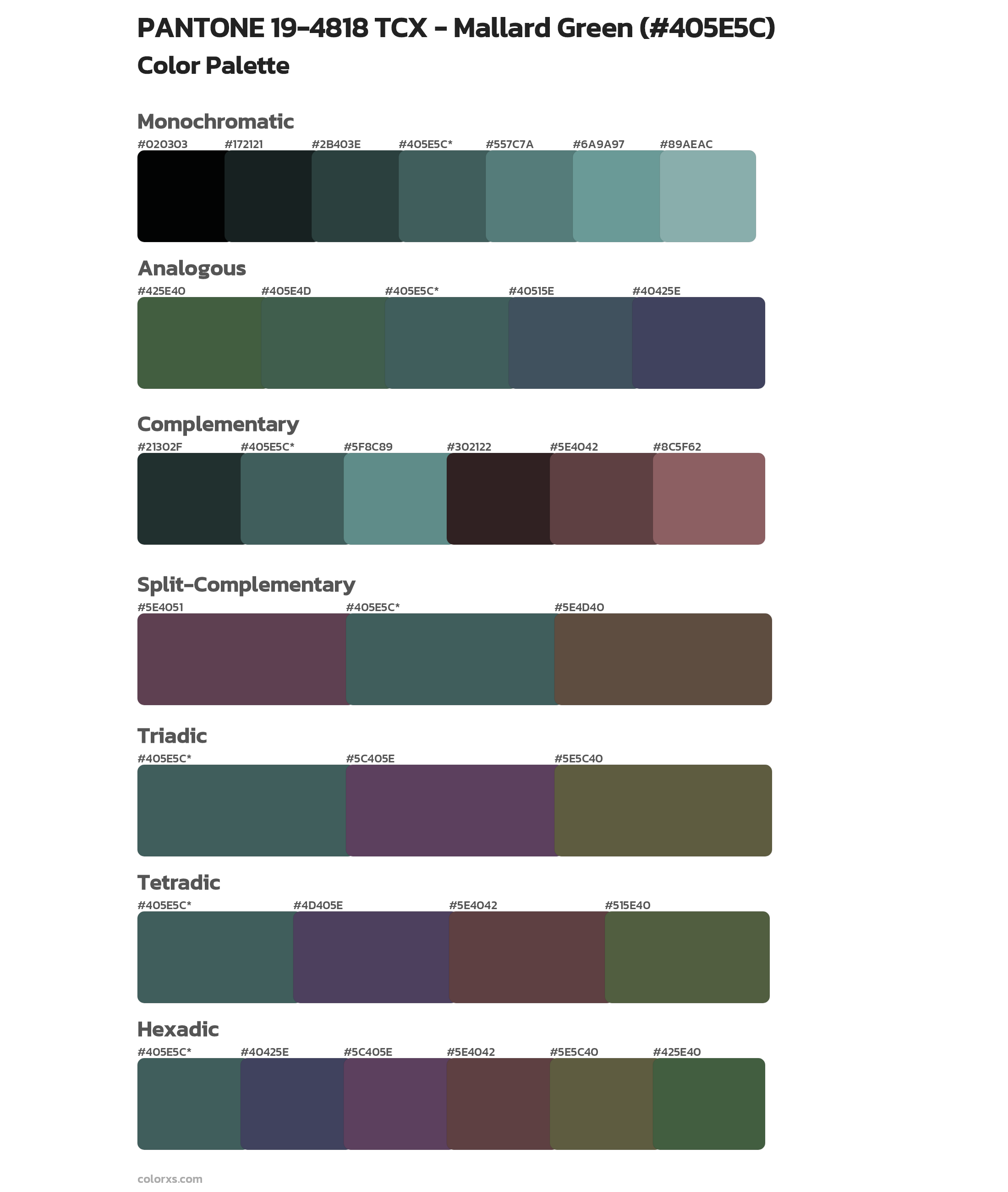 PANTONE 19-4818 TCX - Mallard Green Color Scheme Palettes
