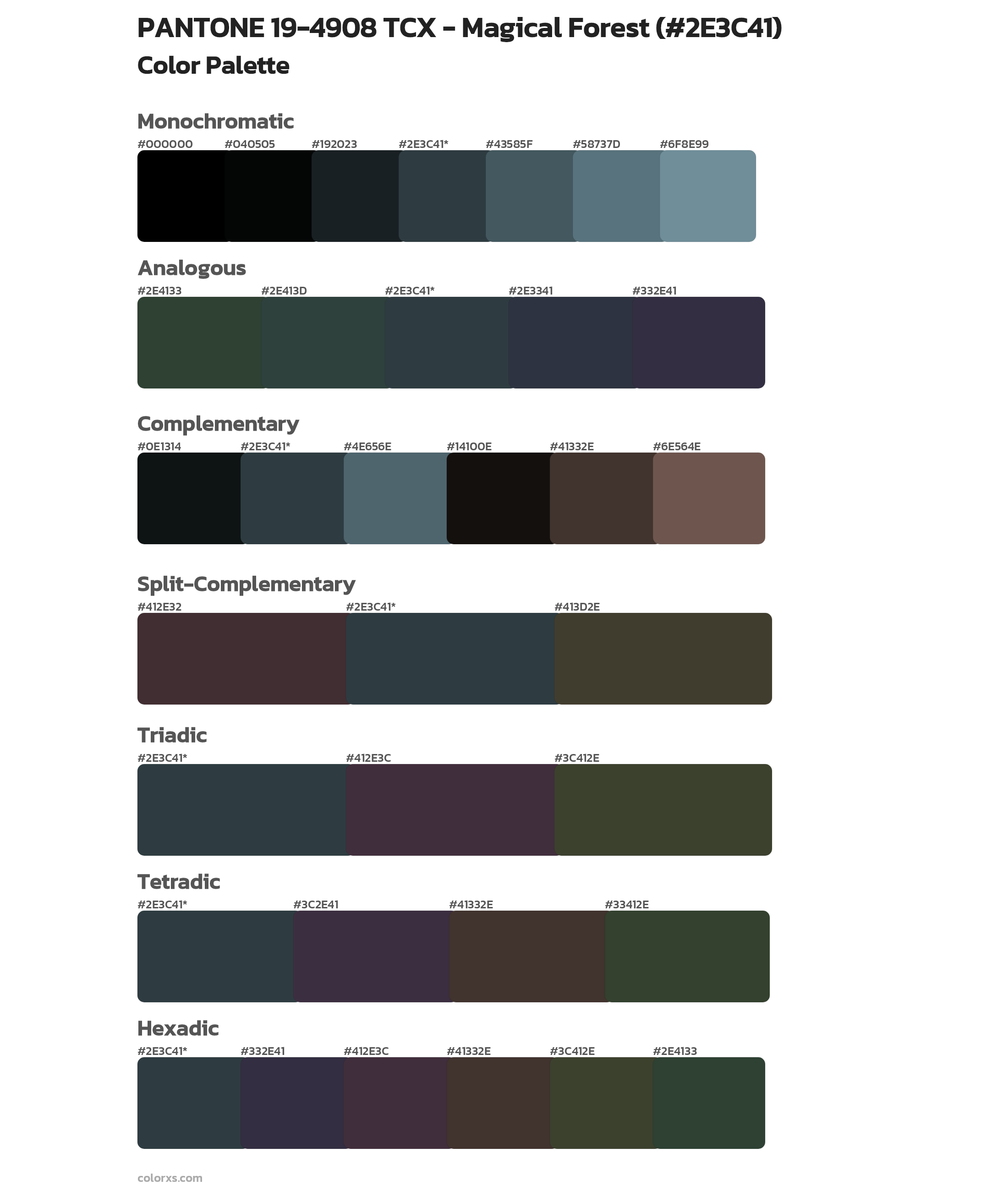 PANTONE 19-4908 TCX - Magical Forest Color Scheme Palettes