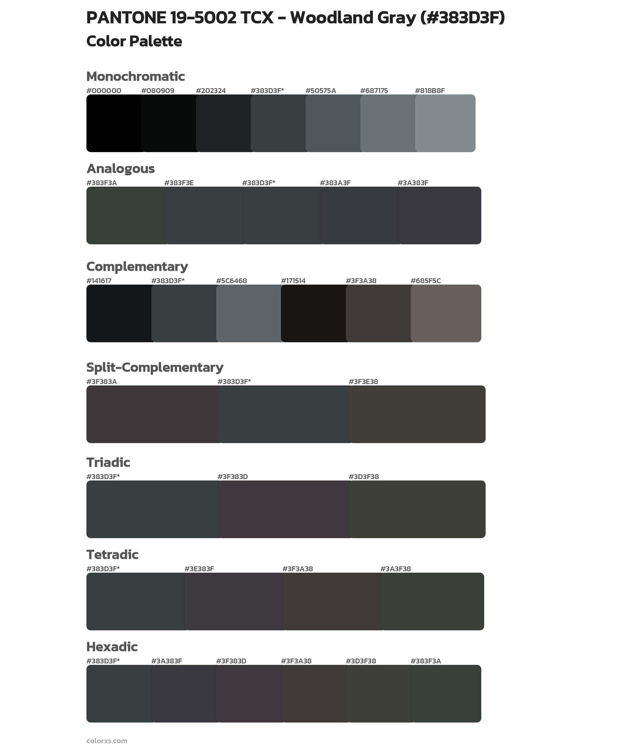 PANTONE 19-5002 TCX - Woodland Gray Color Scheme Palettes