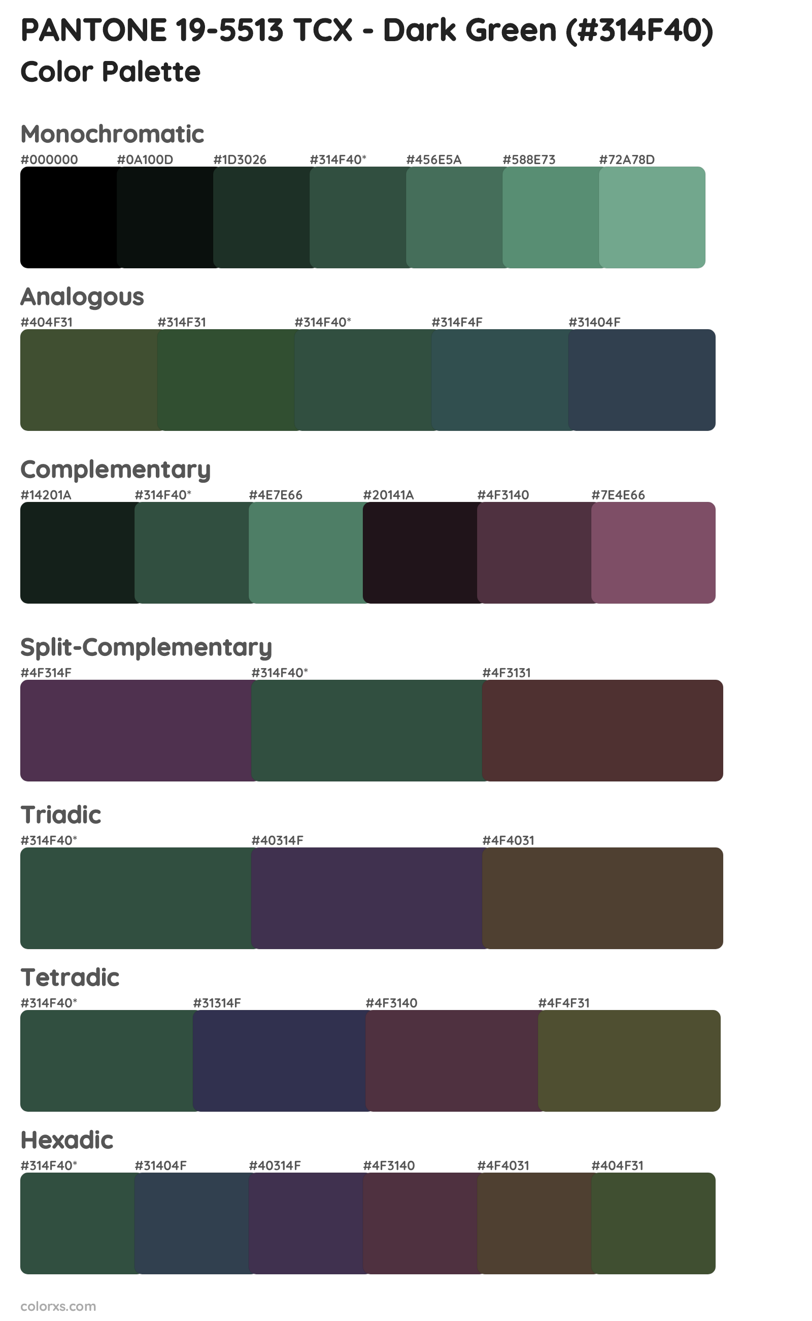 PANTONE 19-5513 TCX - Dark Green Color Scheme Palettes
